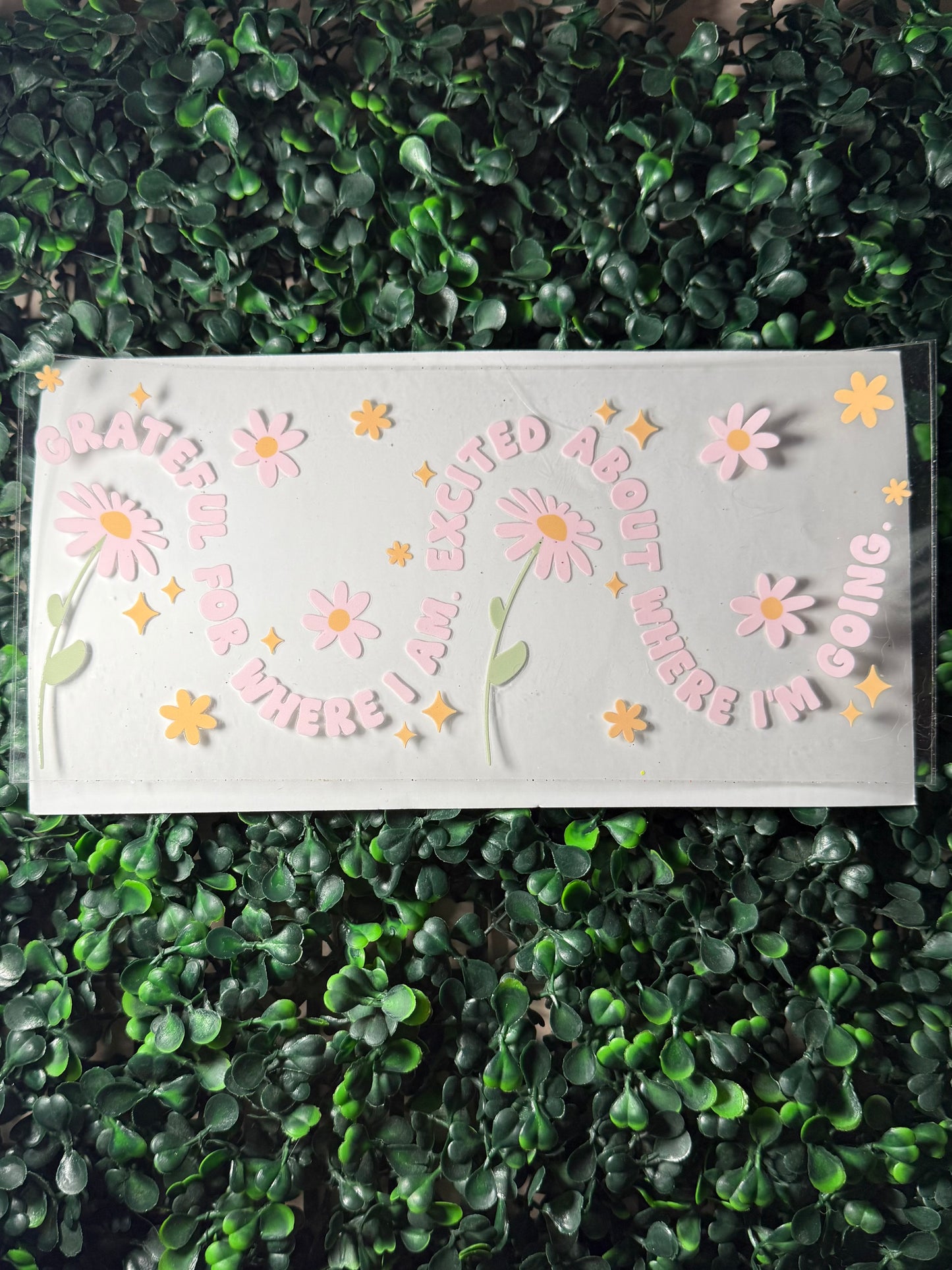 Grateful for where I am. Excited about where I’m going