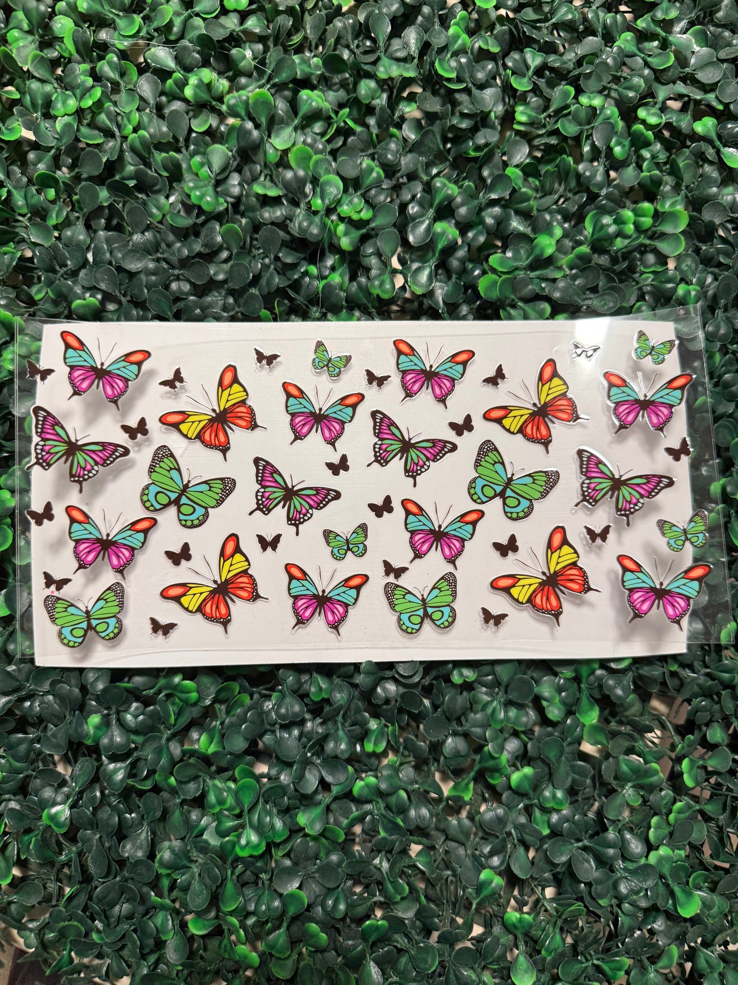 Pink, orange and green butterfly butterflies