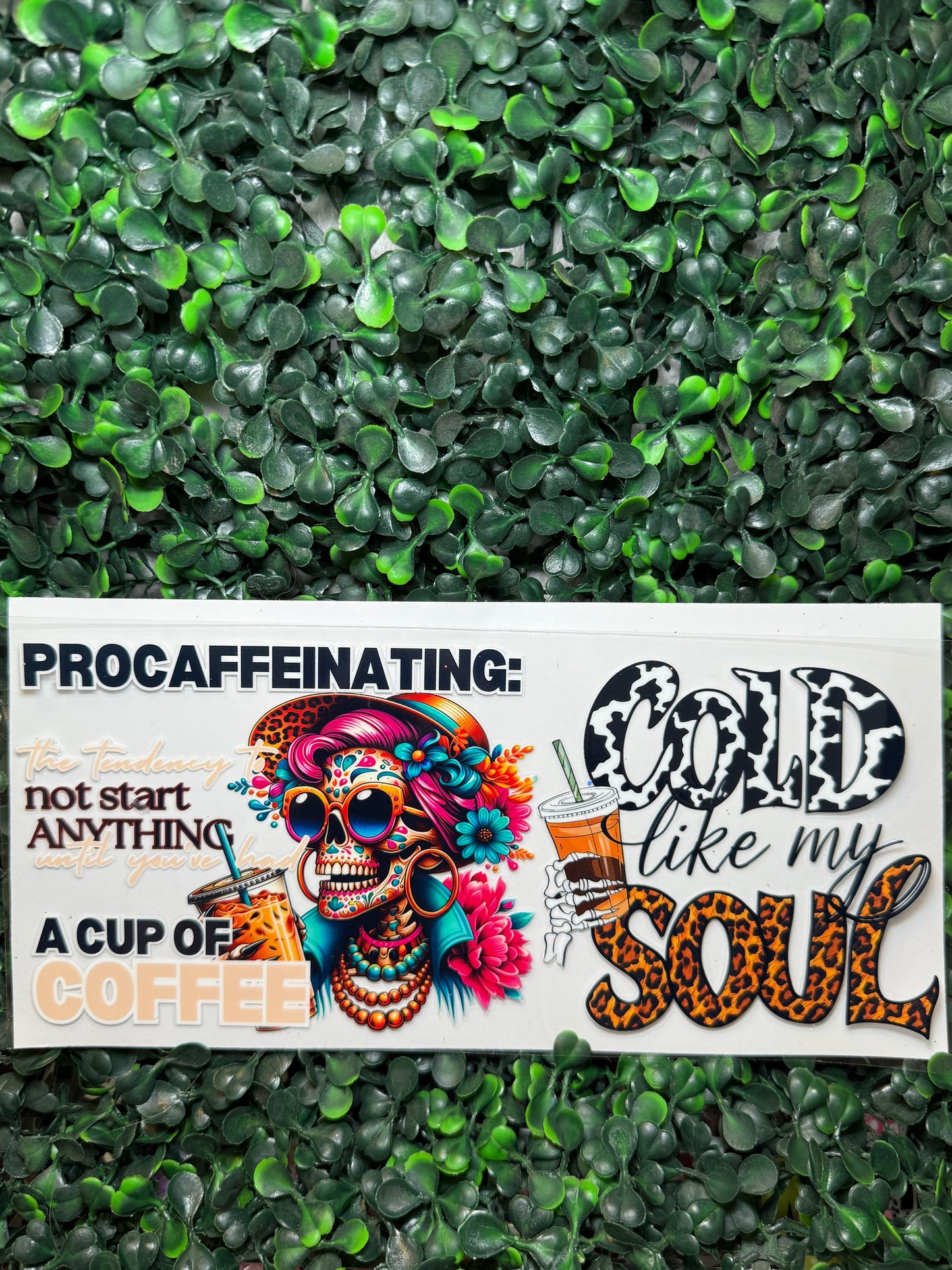 Procafeinated skull wrap