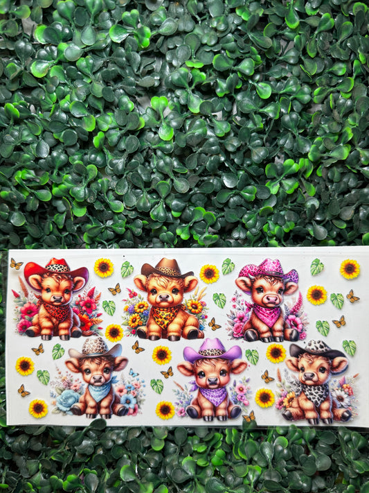 Western highland cows wrap