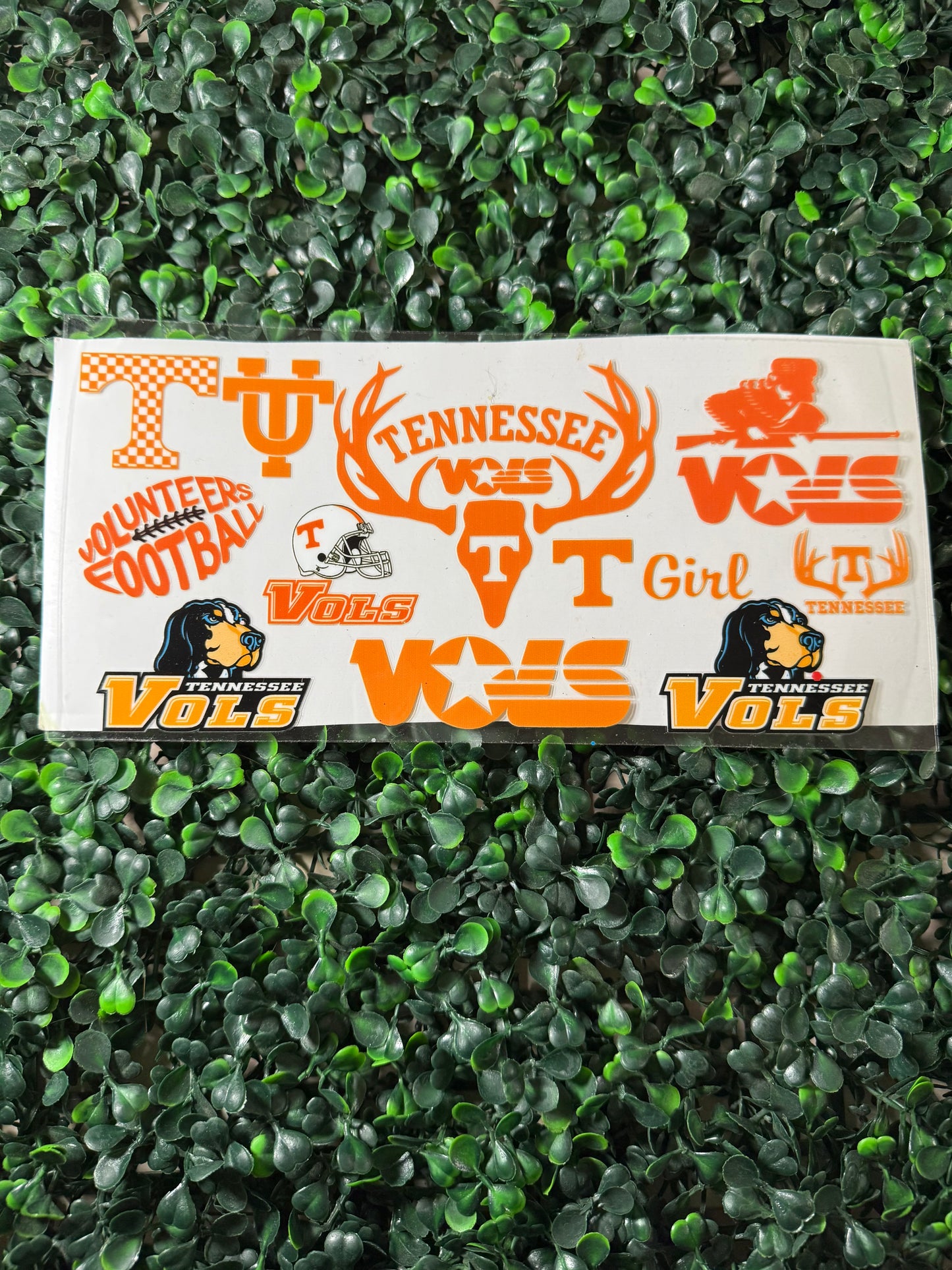 Vols Tennessee football t’s girl