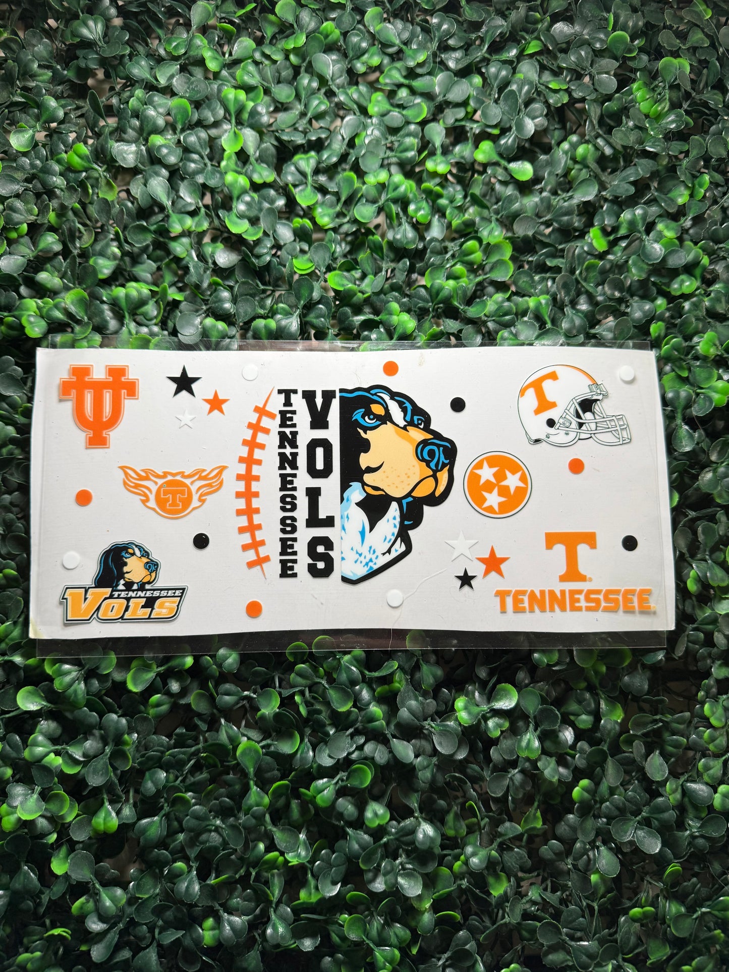 Vols Tennessee football hound dog