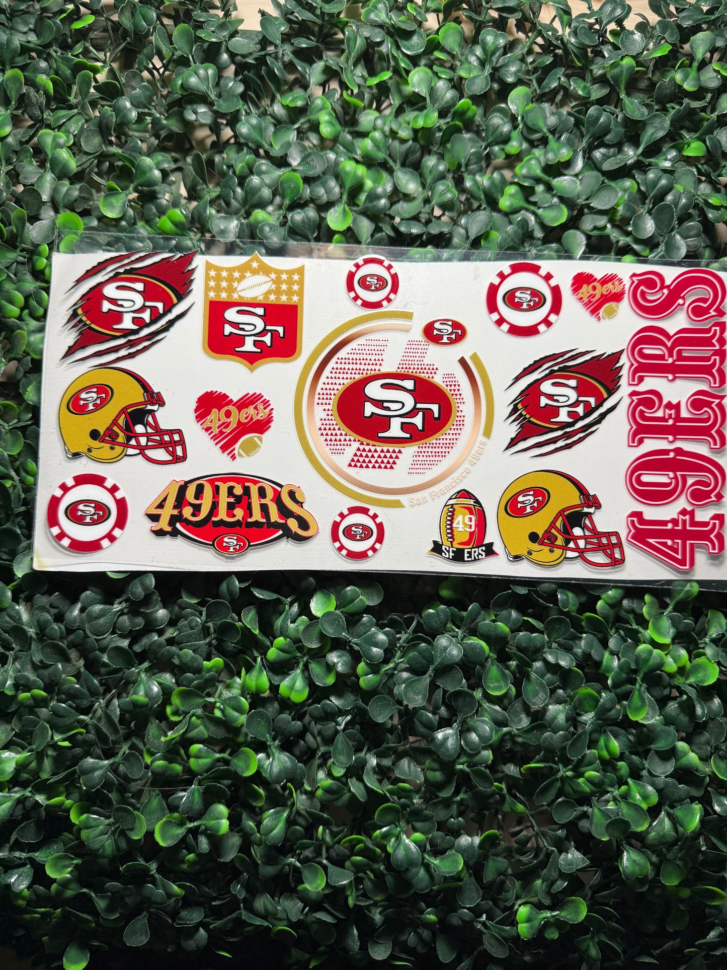 49 San Francisco football