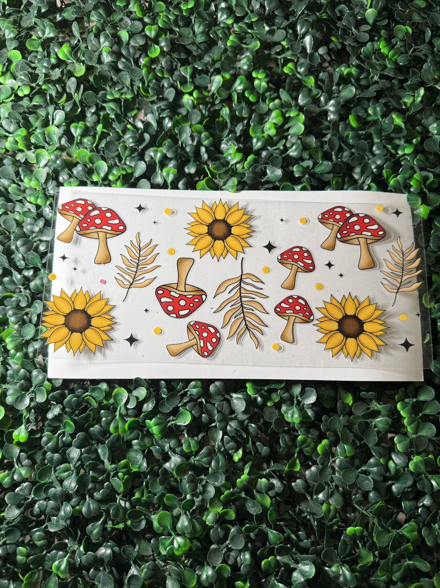 Mushrooms and sunflower