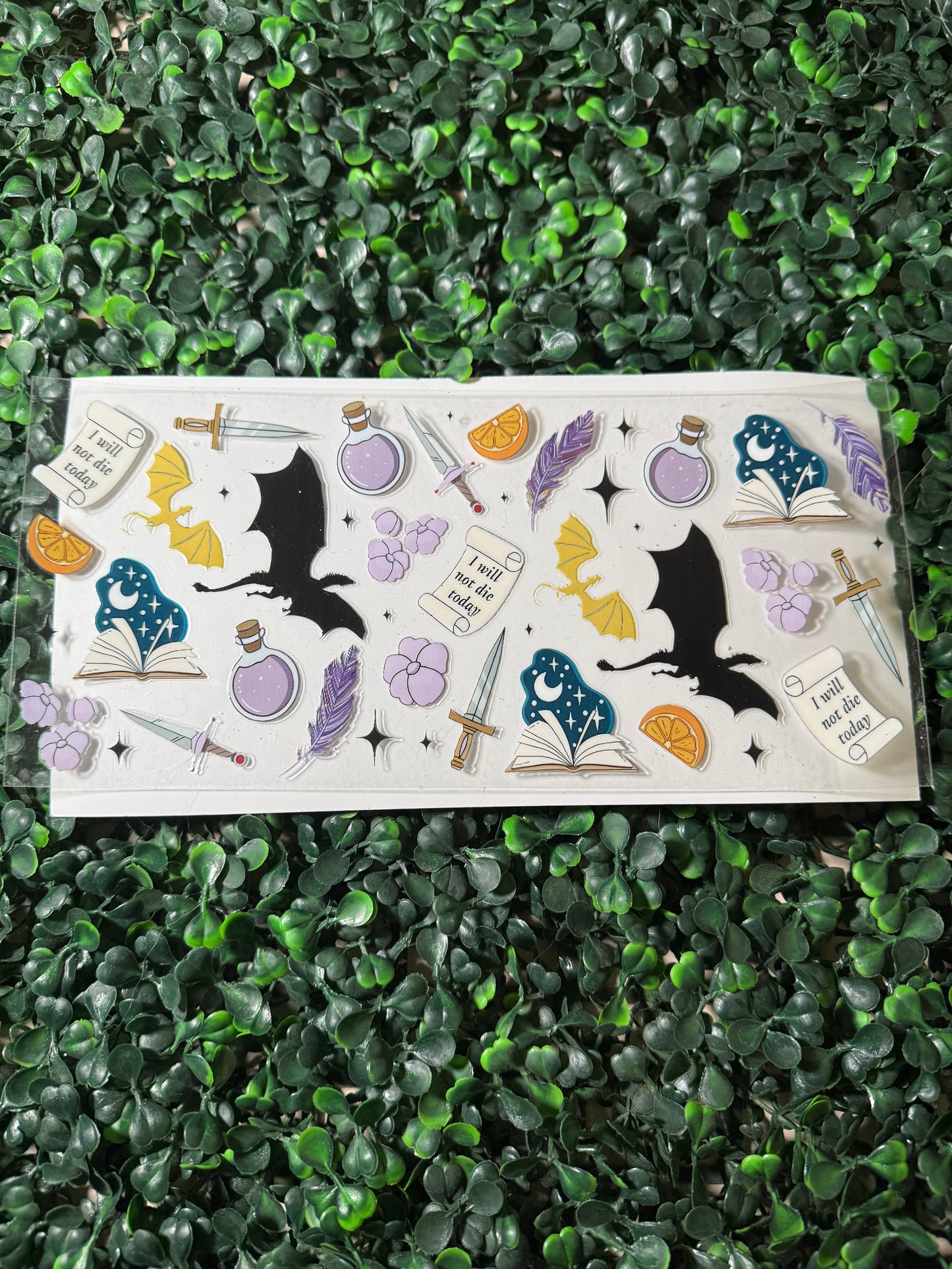 I will not die today black dragon