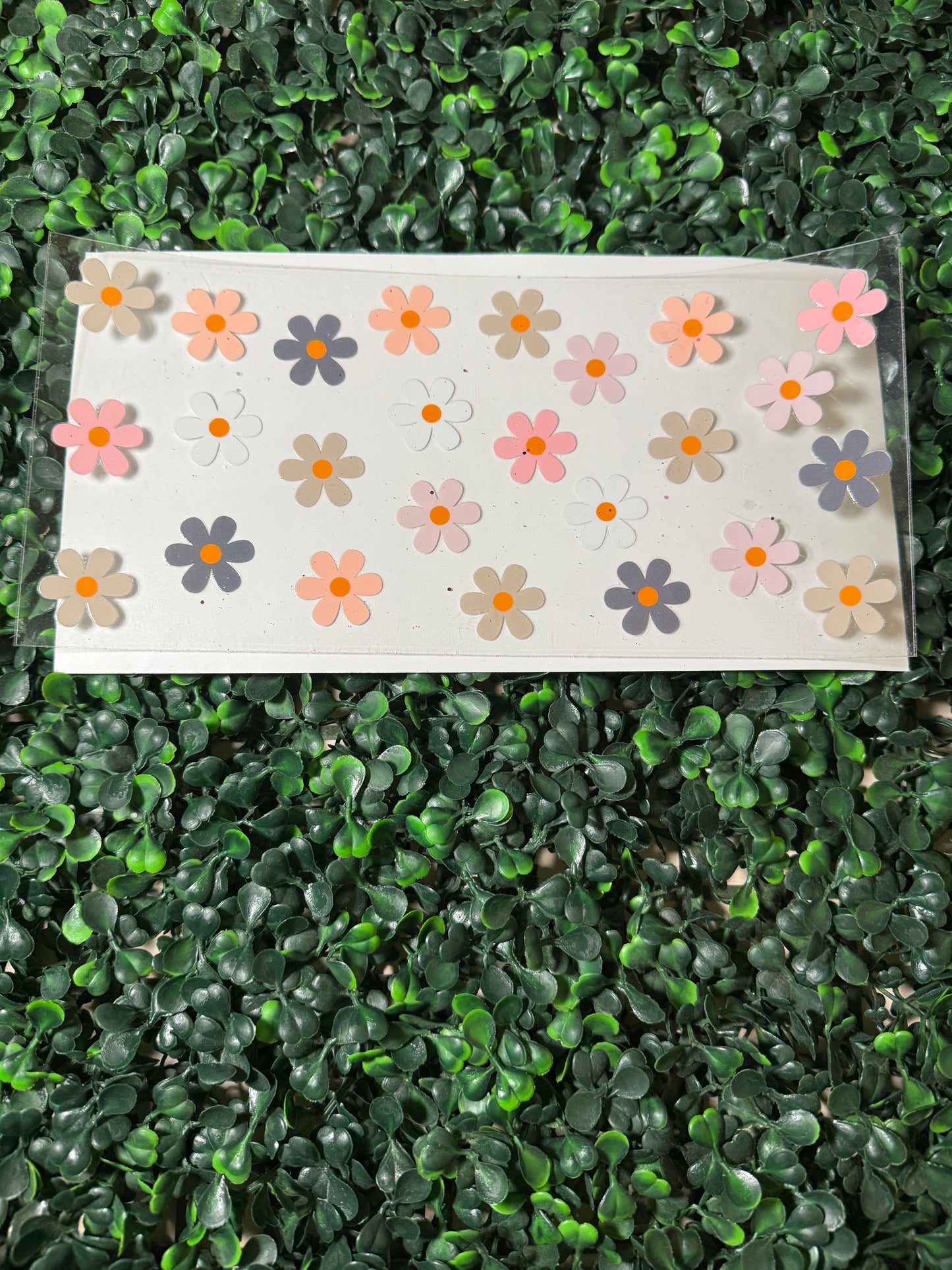 Pink, tan and purple daisies 