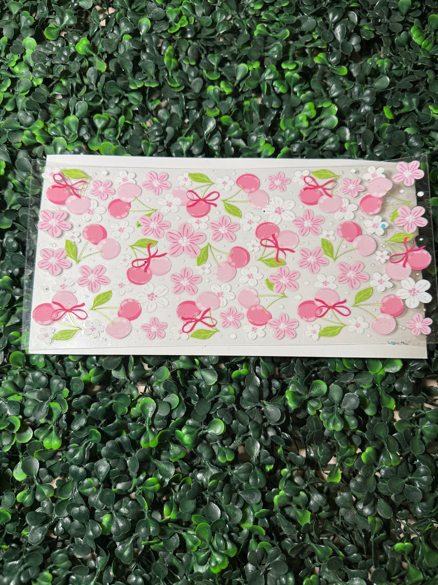 Pink cherries and cherry blossoms