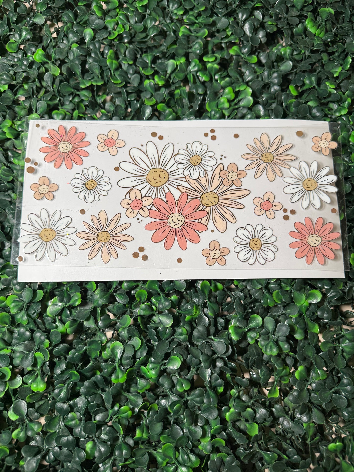 Tan and pink daisies 