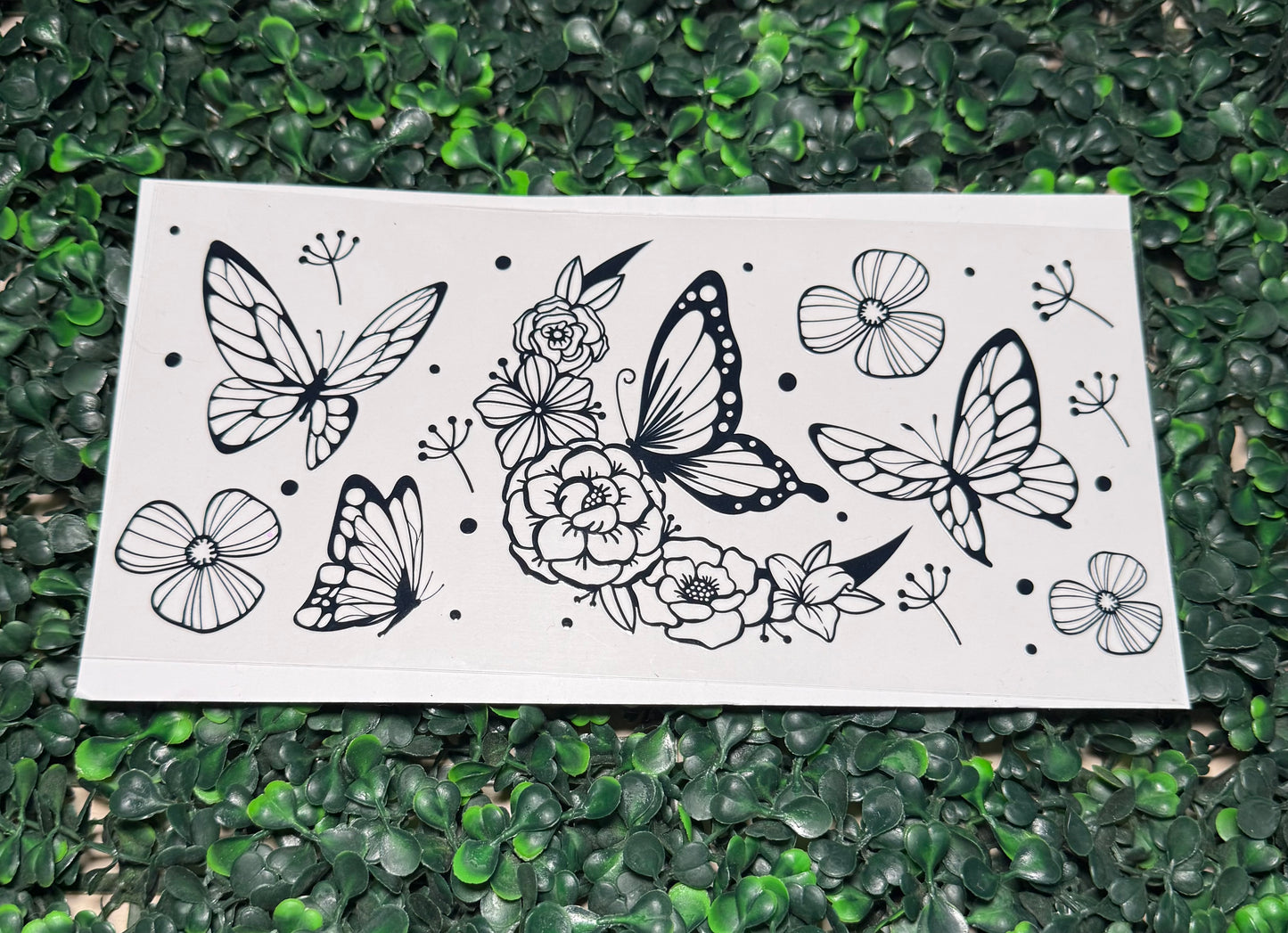 Butterfly black outline