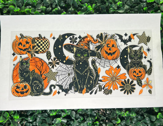 Black cat with pumpkins