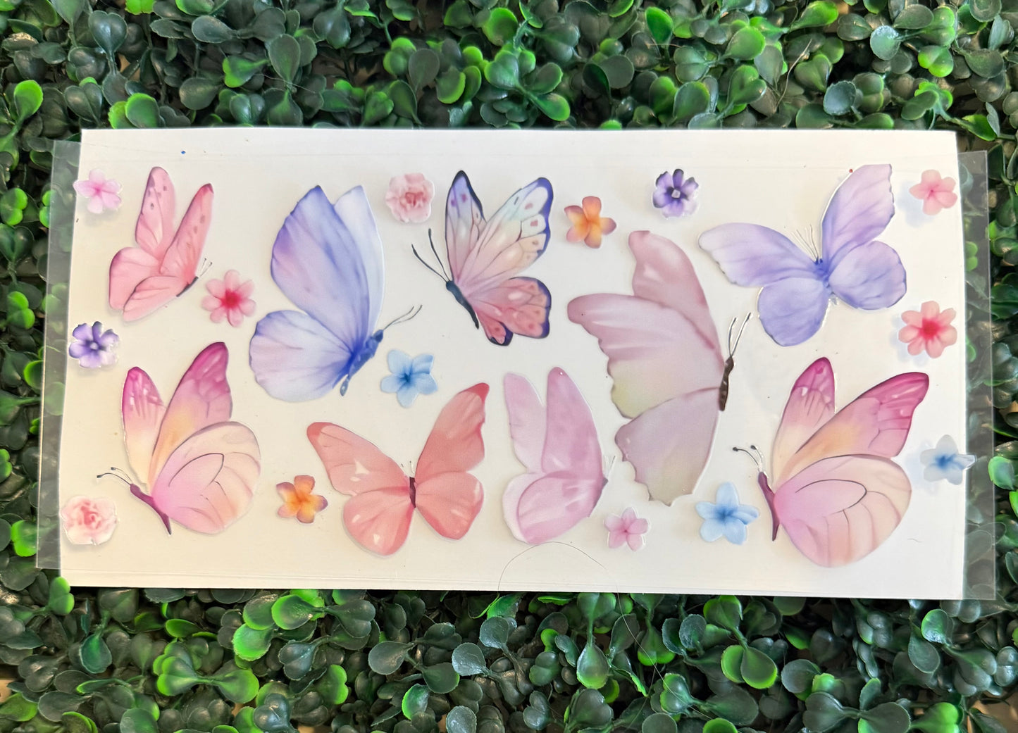Butterflies pink and purple