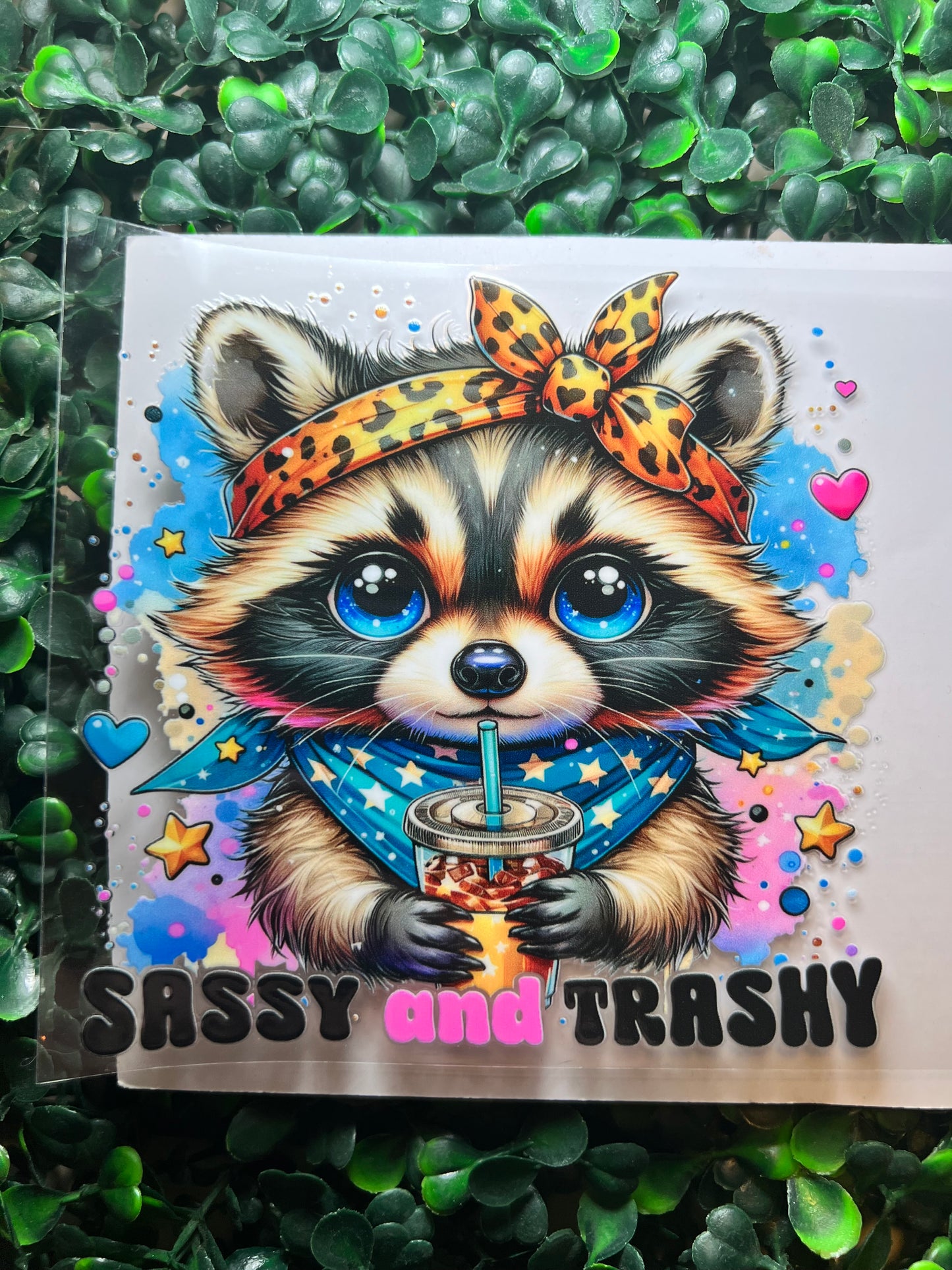 Sassy and trashy raccoon