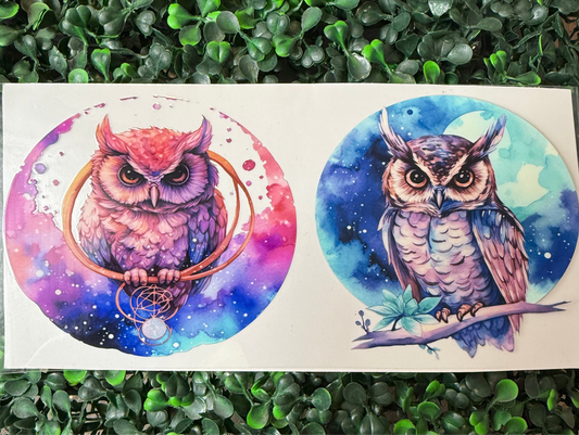 Owls wrap