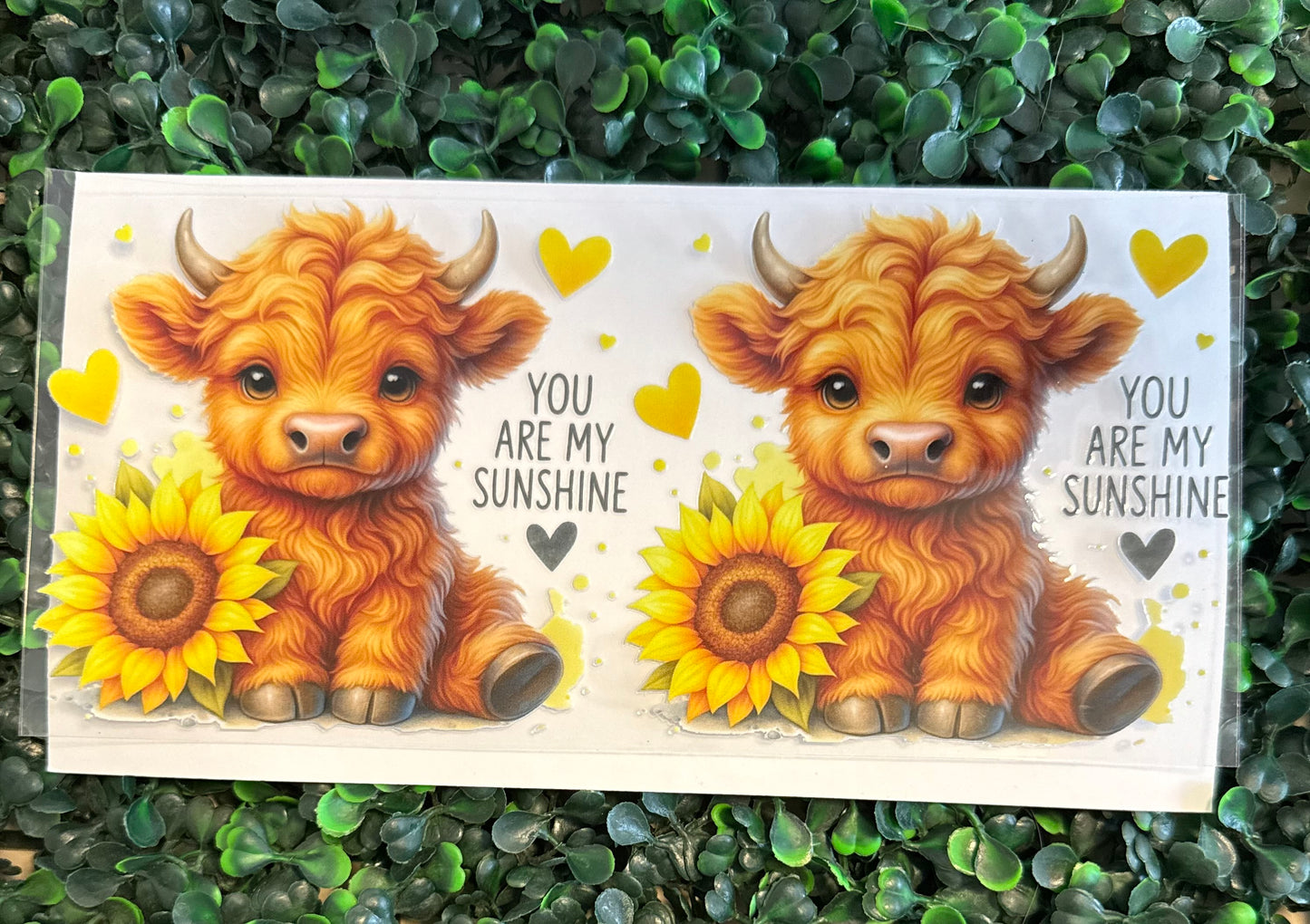You are my sunshine cow & sunflowers