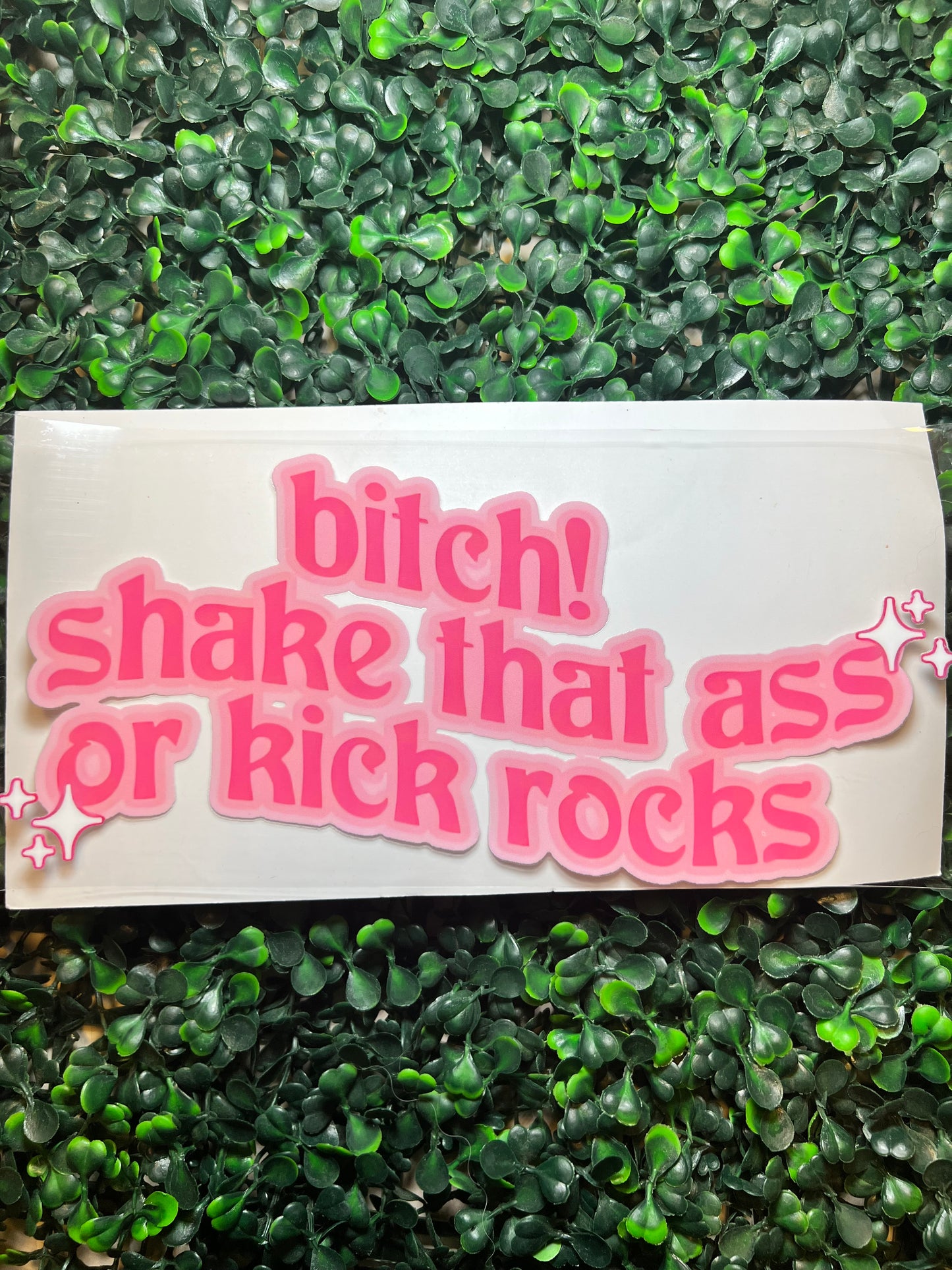 Bitch shake that ass or kick rocks