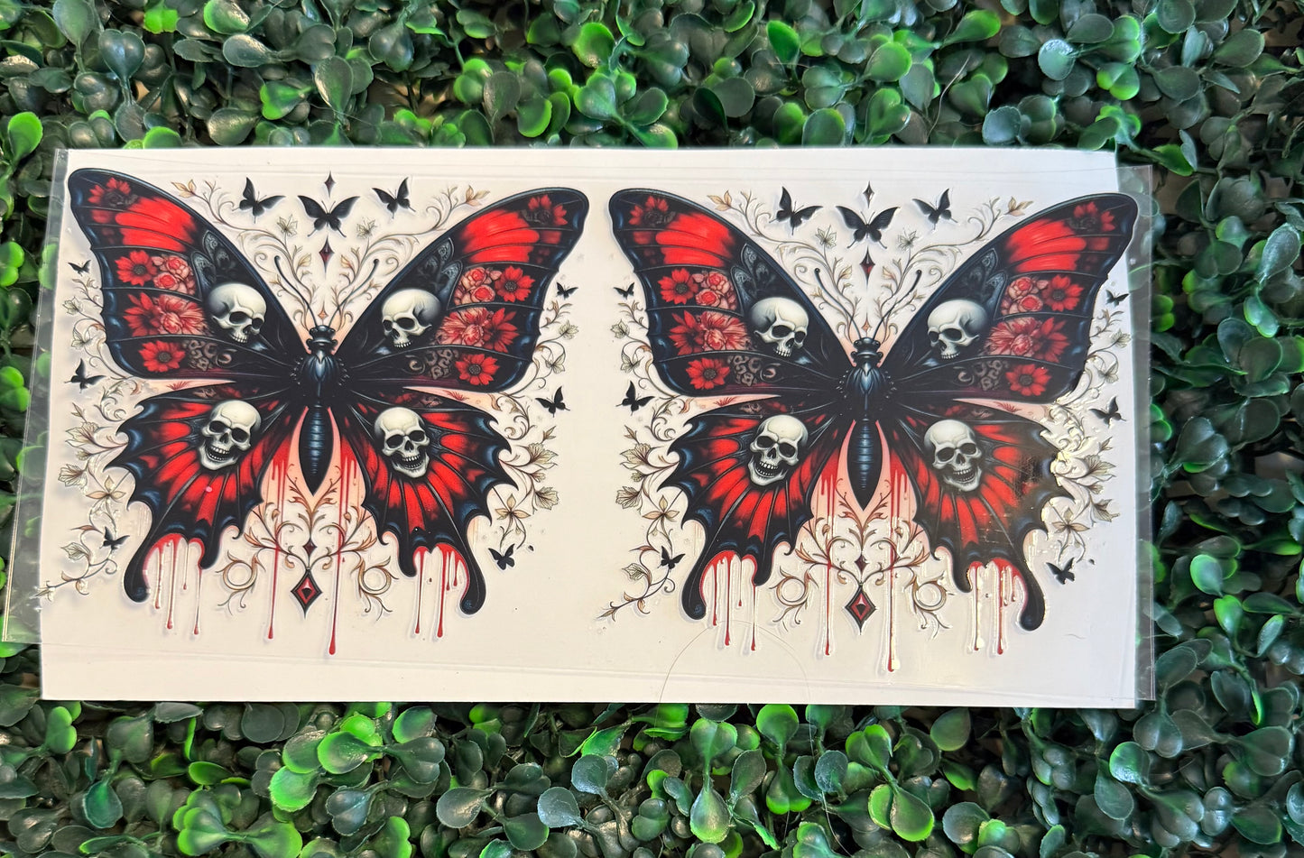 Skull butterflies