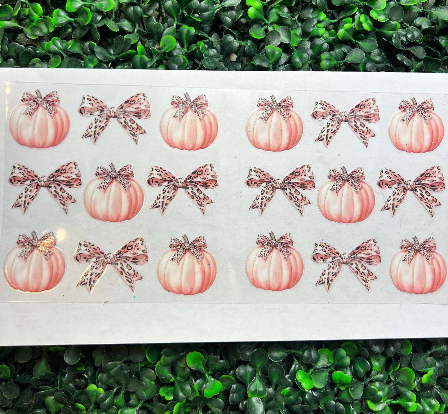 Cheetah pumpkin bow wrap