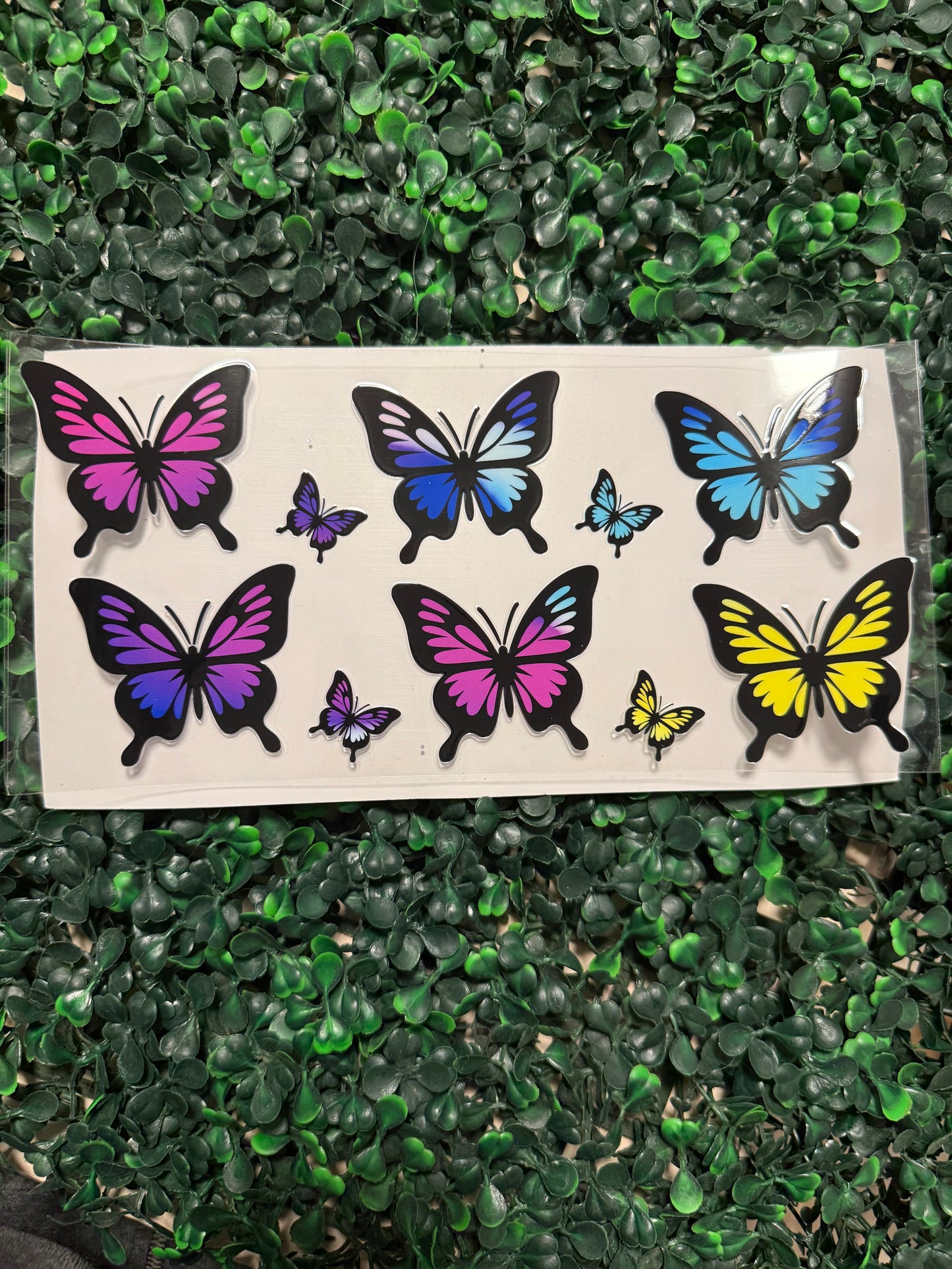 Pink, purple, blue and yellow butterfly butterflies