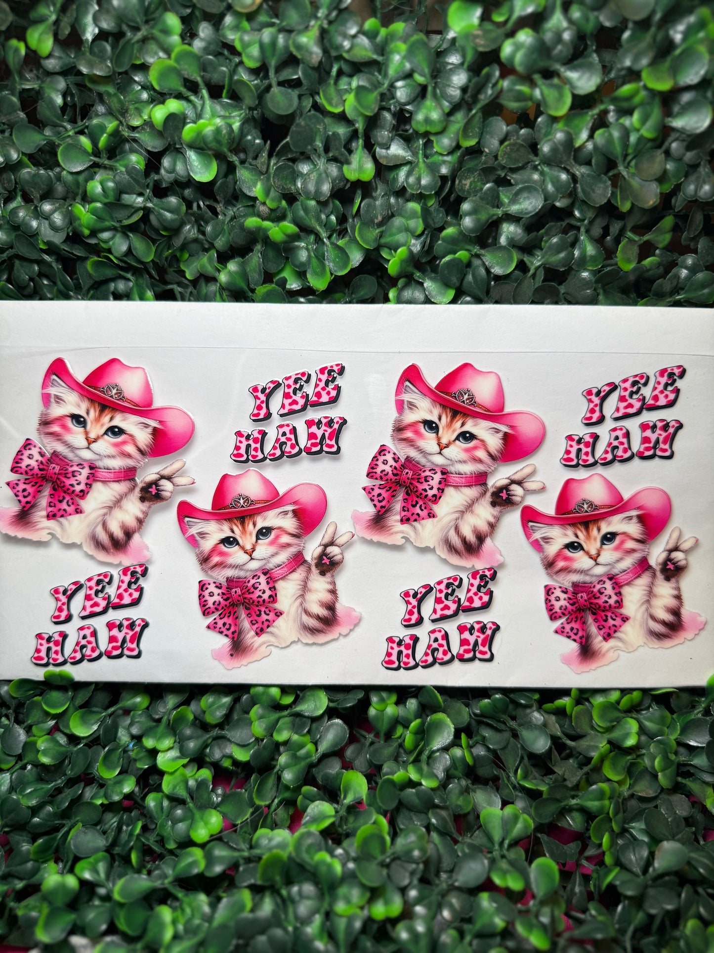 Yeehaw Western Cat Decal