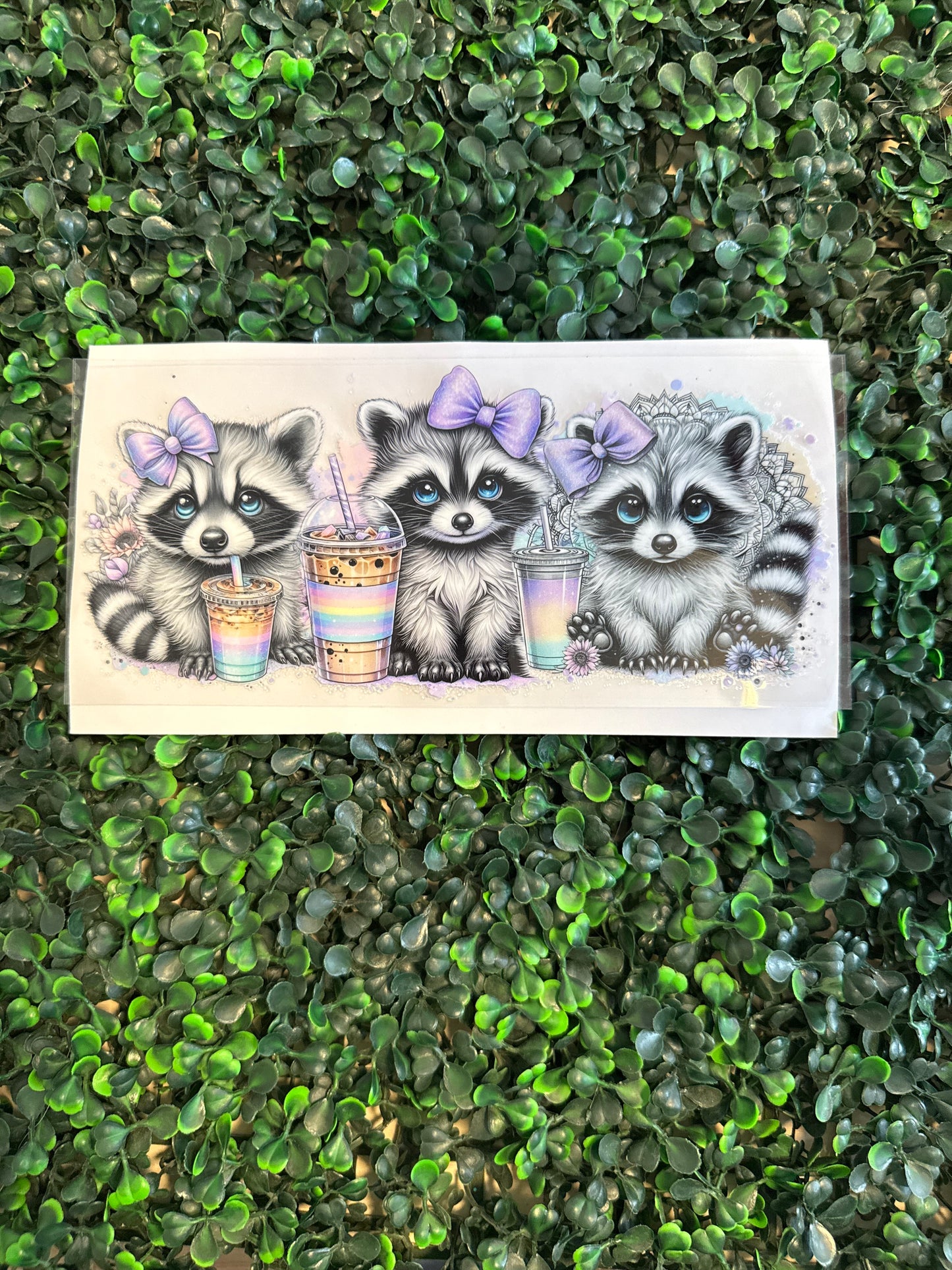 Raccoons and coffee