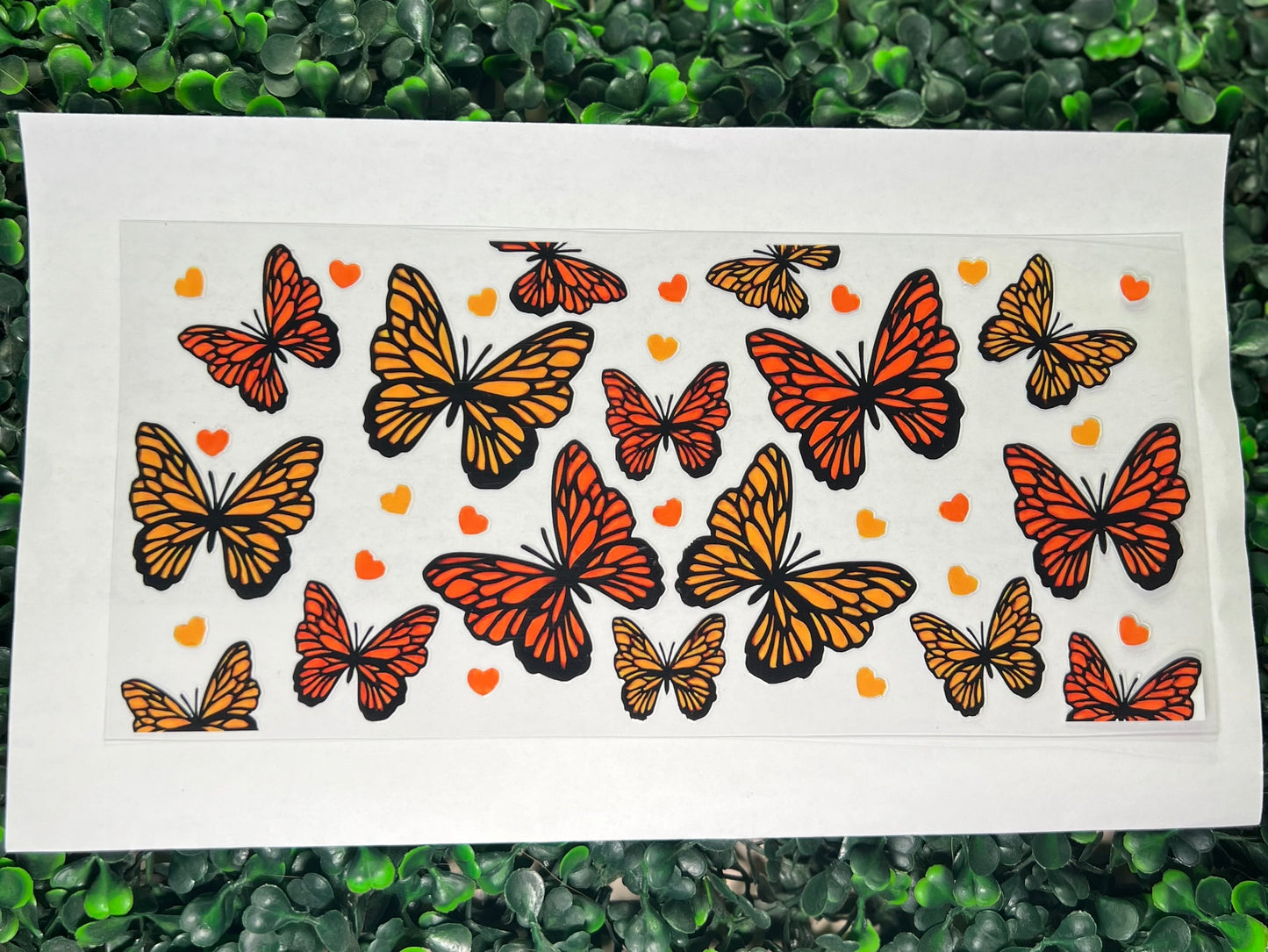 Orange and red butterflies