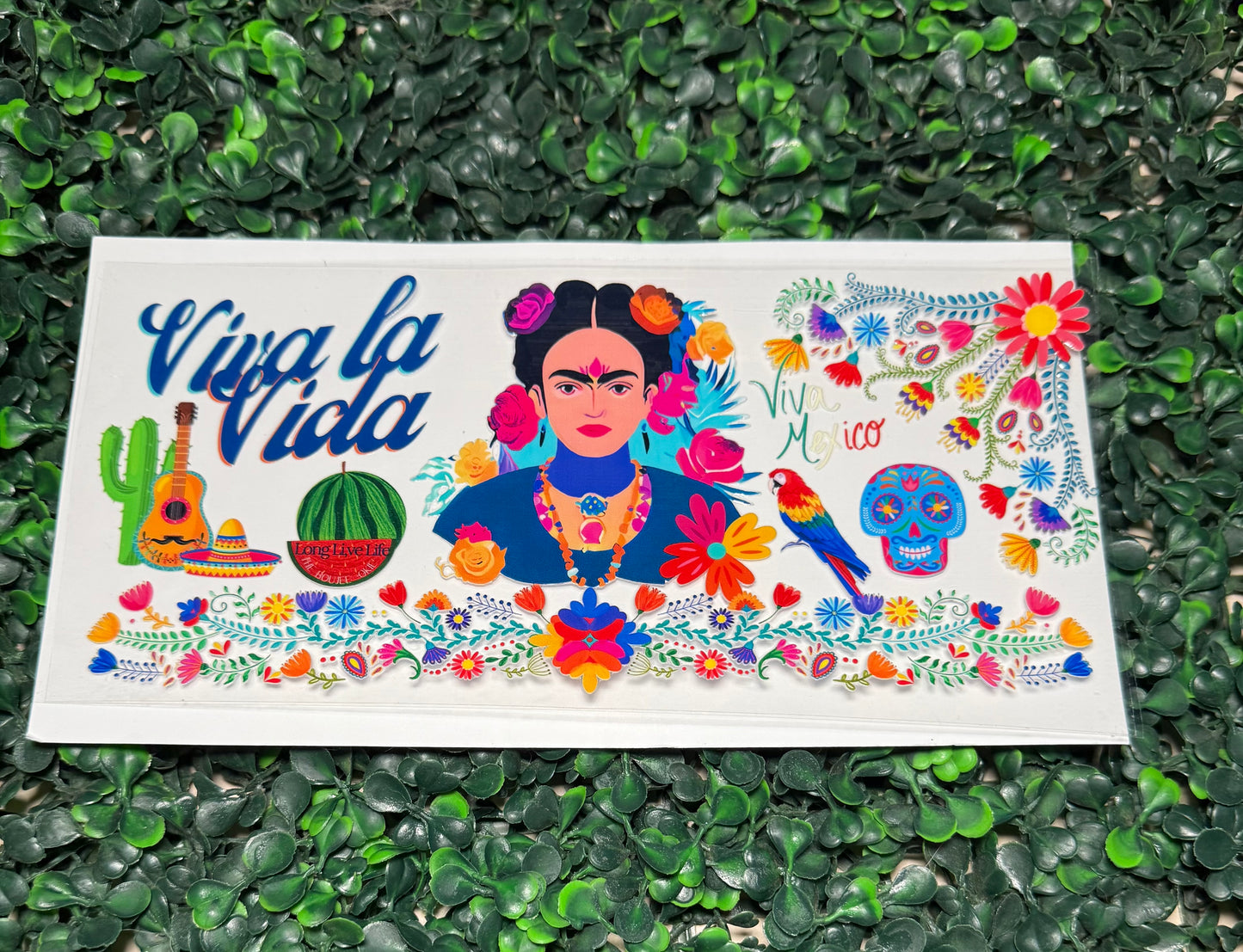 Viva La Vida Frida ￼