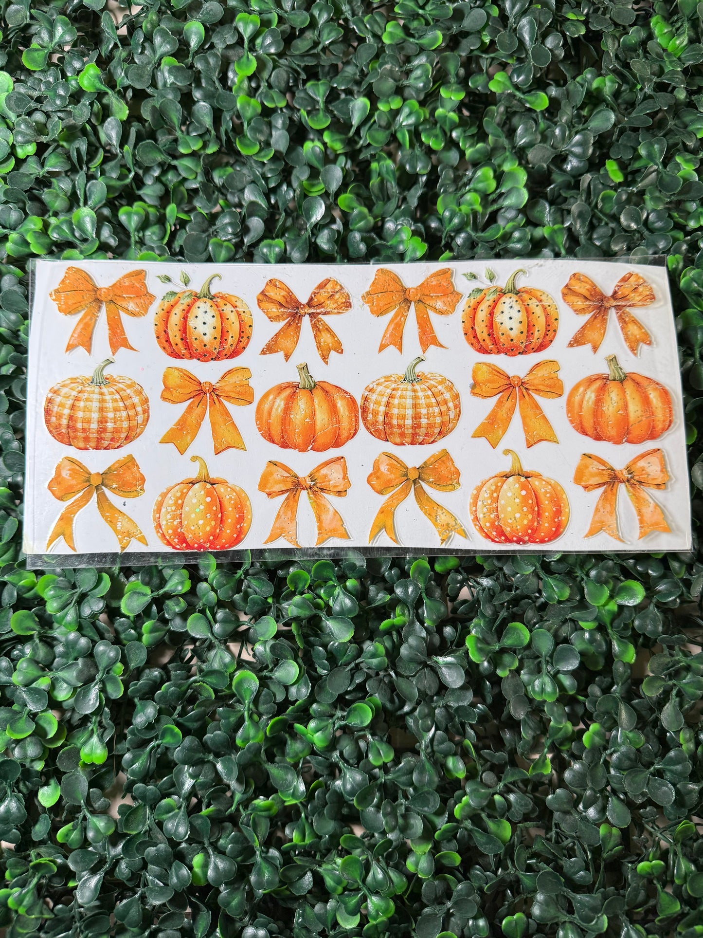 Pumpkins and bows orange