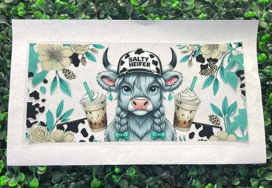 Salty heifer cow drinks