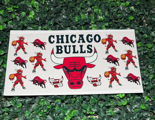 Bulls Chicago