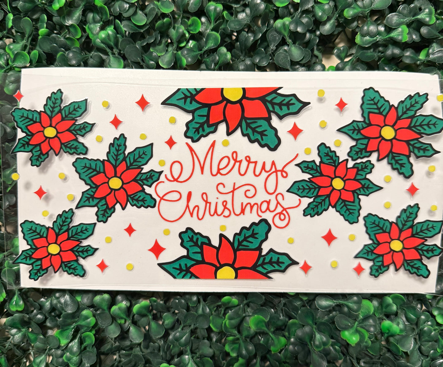 Poinsettia merry Christmas