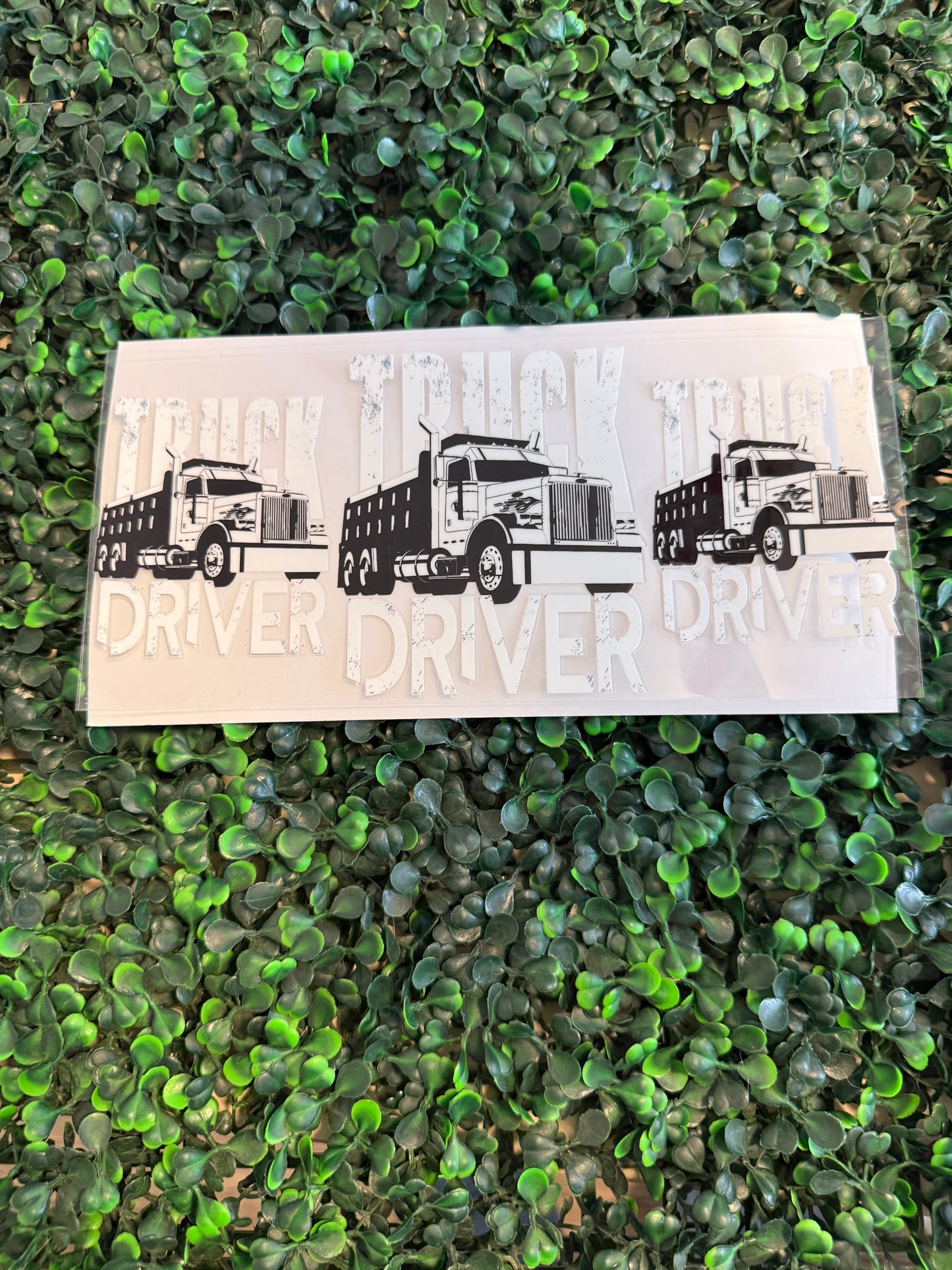 Truck driver black and white