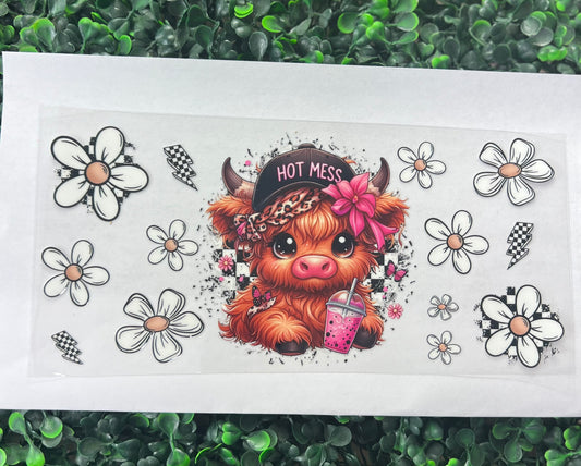 Hot mess Highland cow