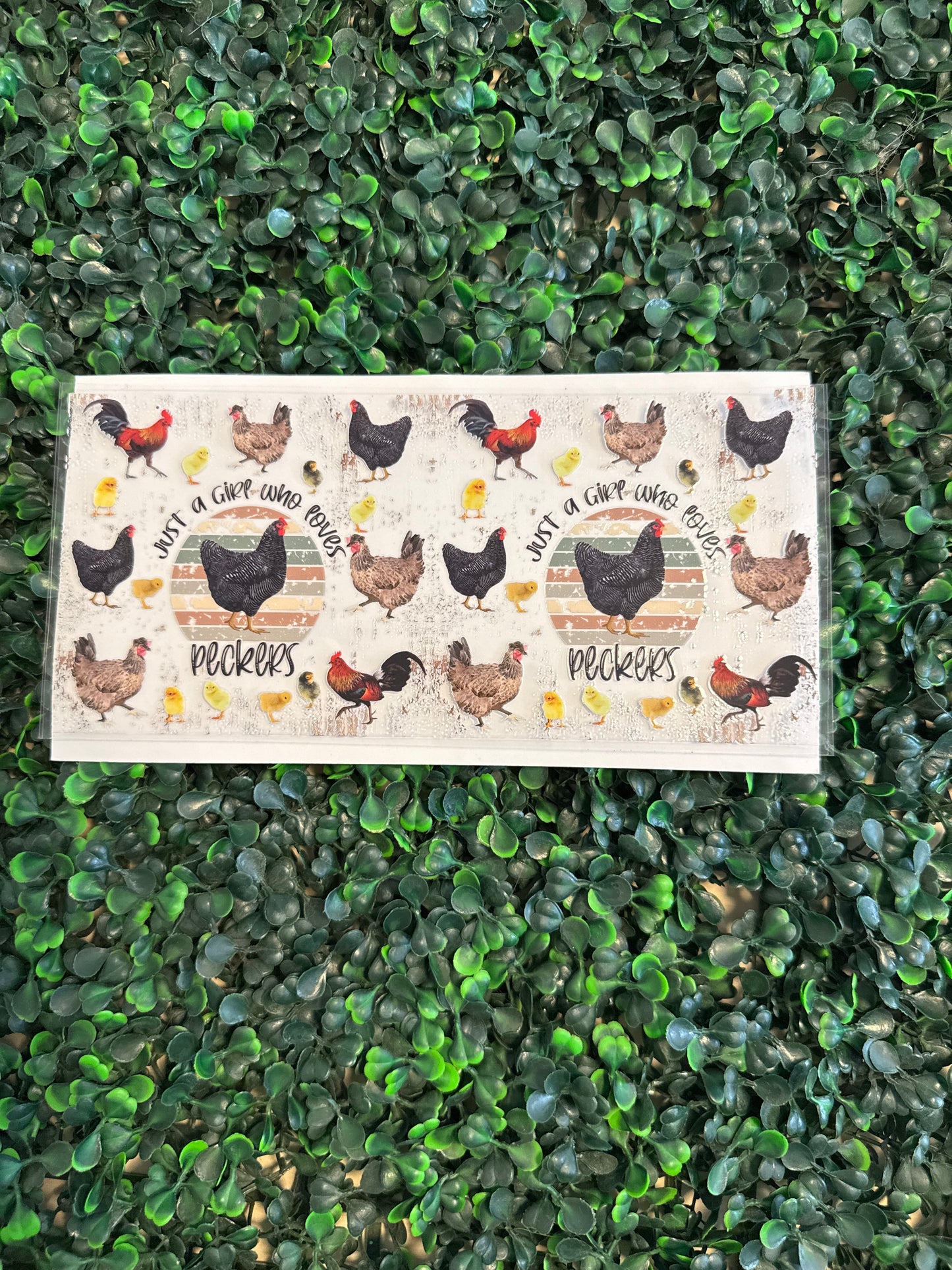 Just a girl who loves peckers chickens