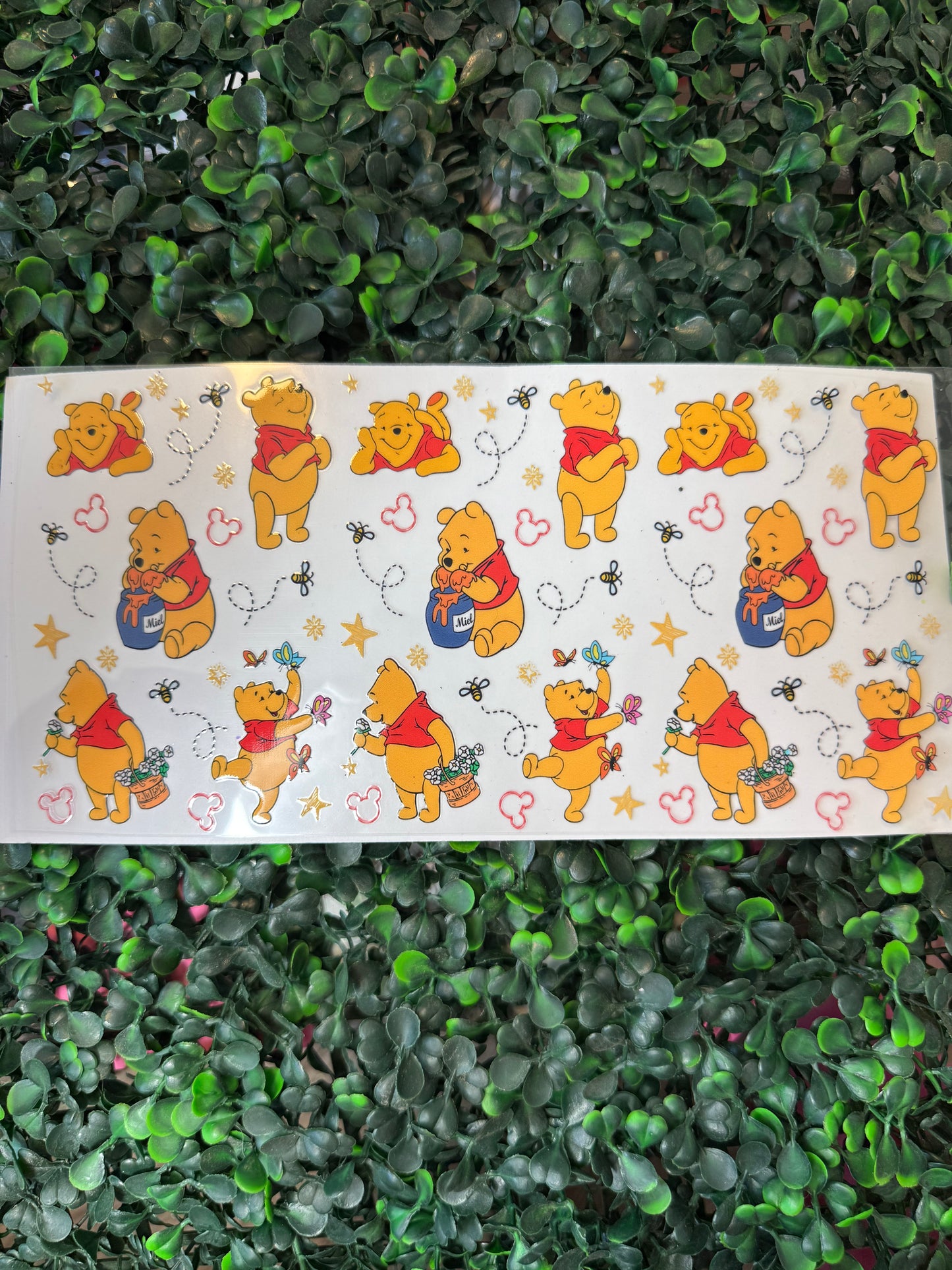 Winnie the Pooh