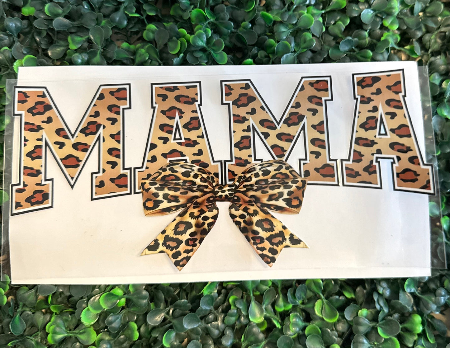 Cheetah bow mama