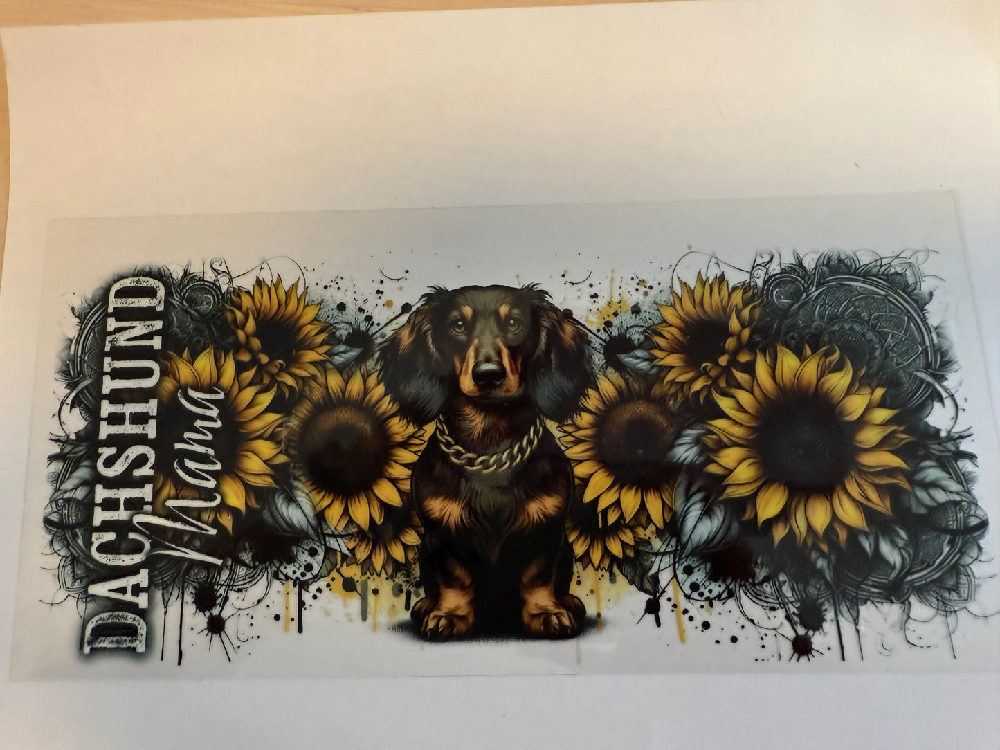 Dachshund mama sunflowers