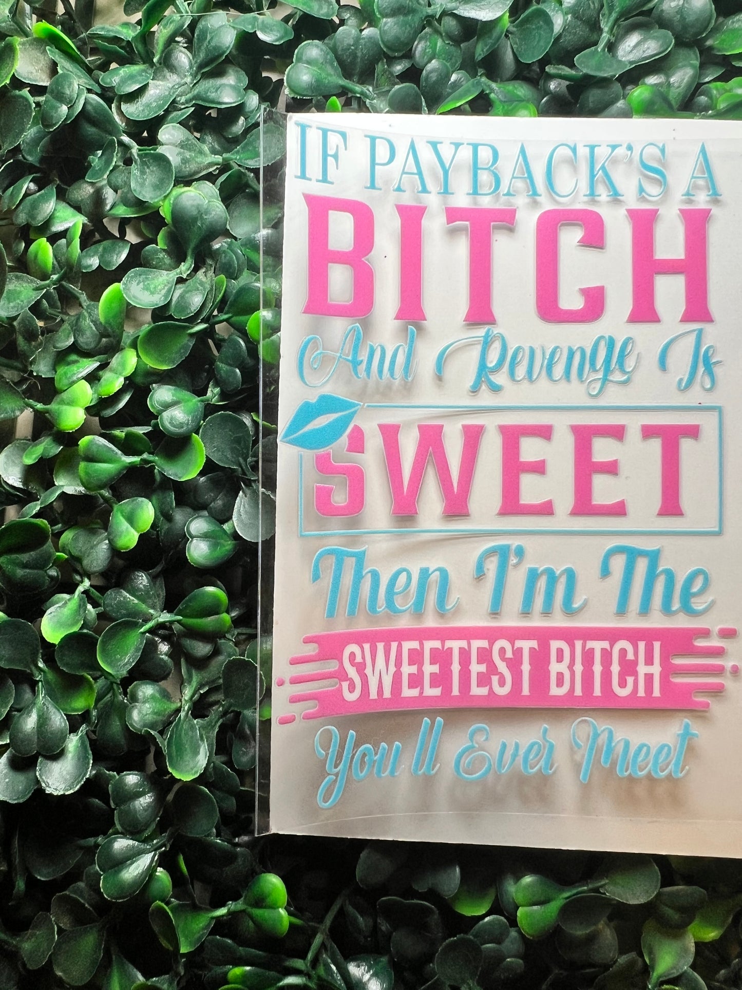 Sweetest bitch you’ll ever meet