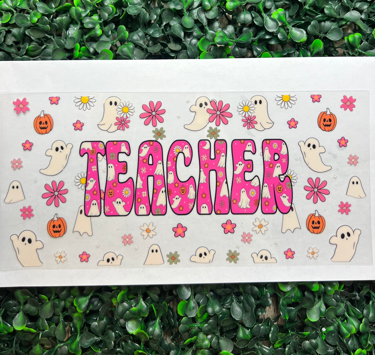 Ghost teacher wrap