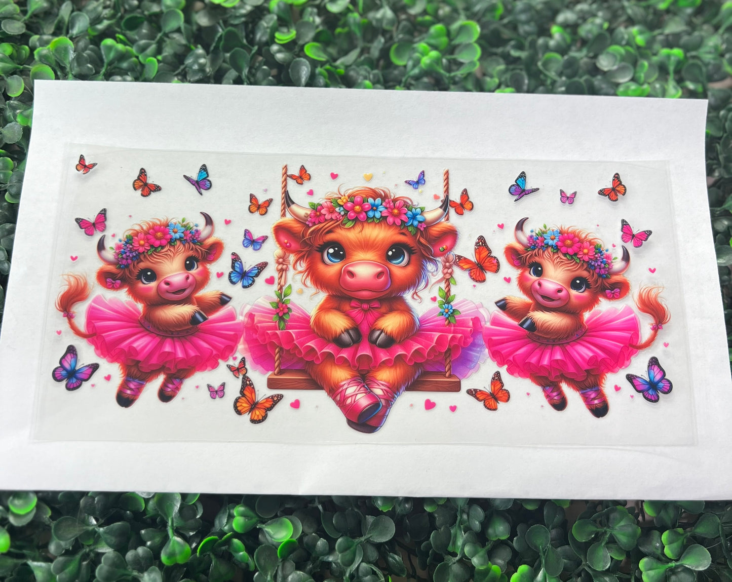 Ballerina Highland cow 2