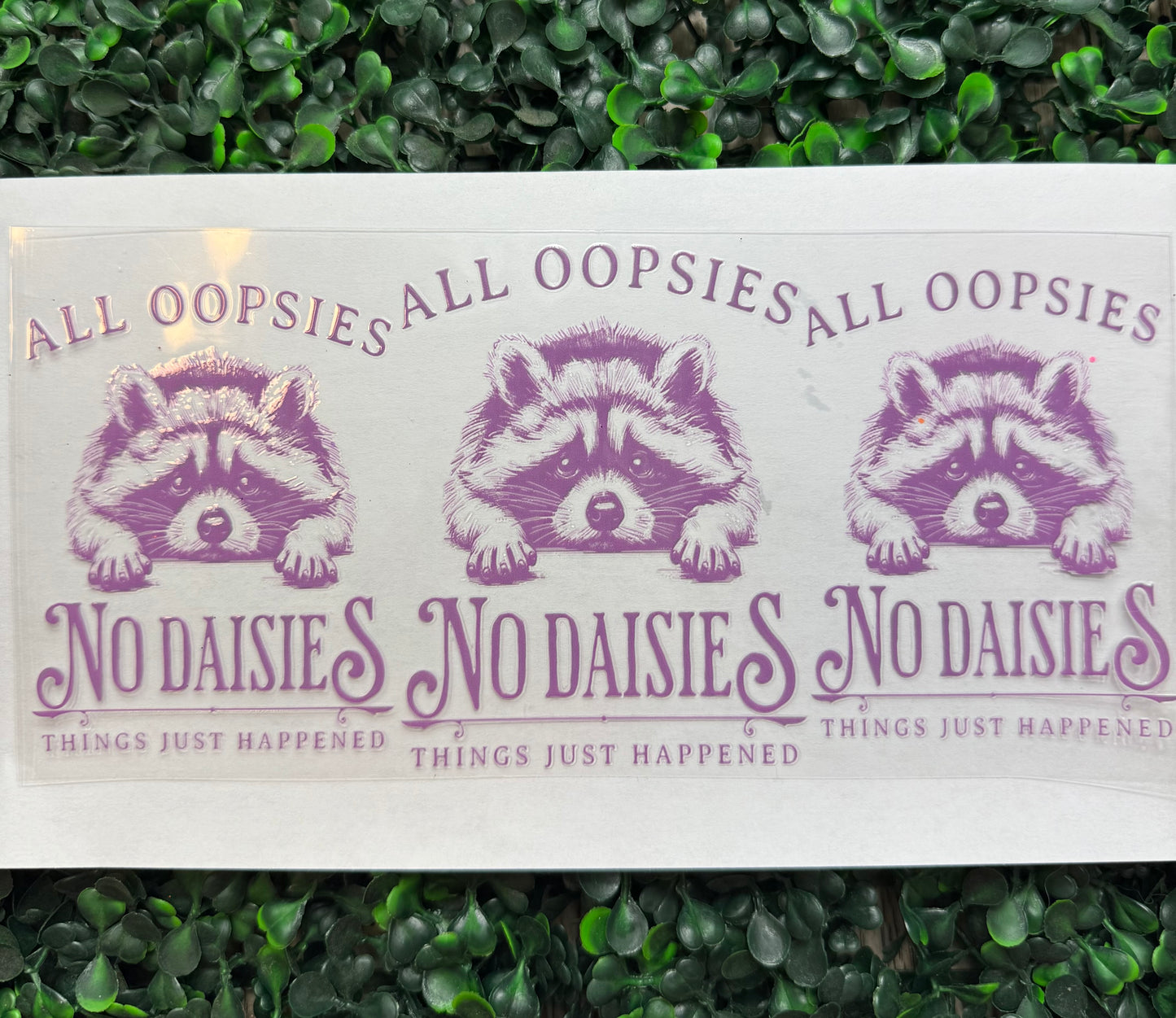 All whoopsies no daisies racoon wrap