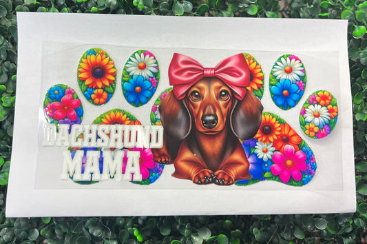 Dachshund mama