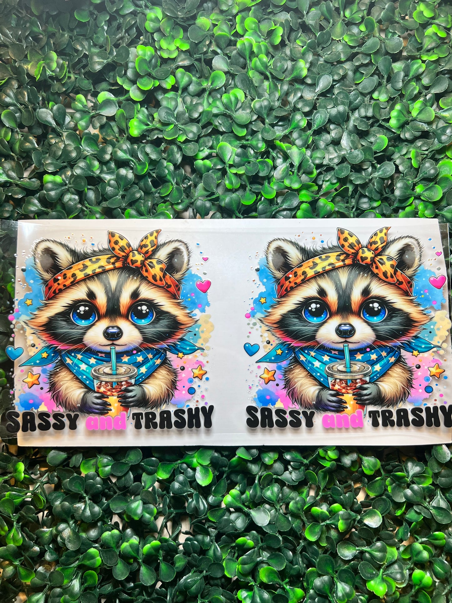 Sassy and trashy raccoon full wrap