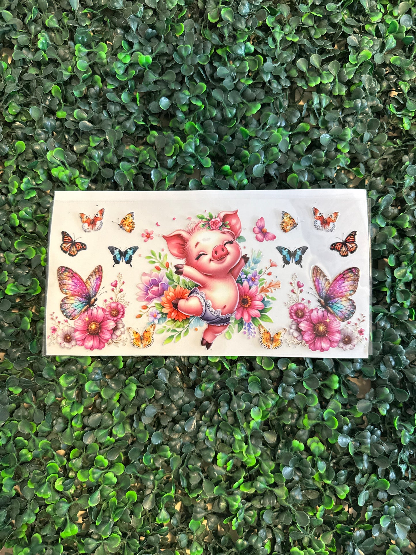 Pig and butterflies
