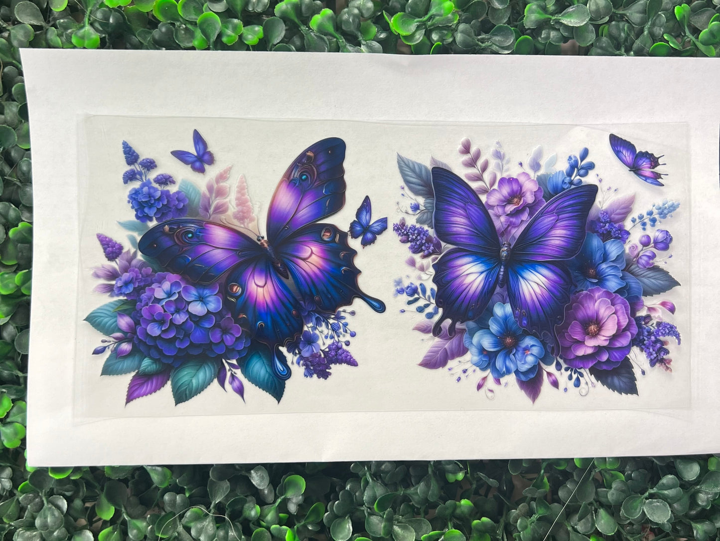 Purple butterflies and flowers