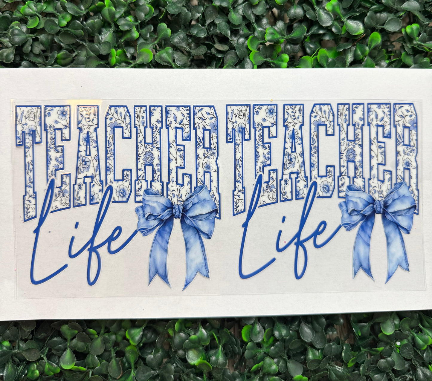 Teacher life bow