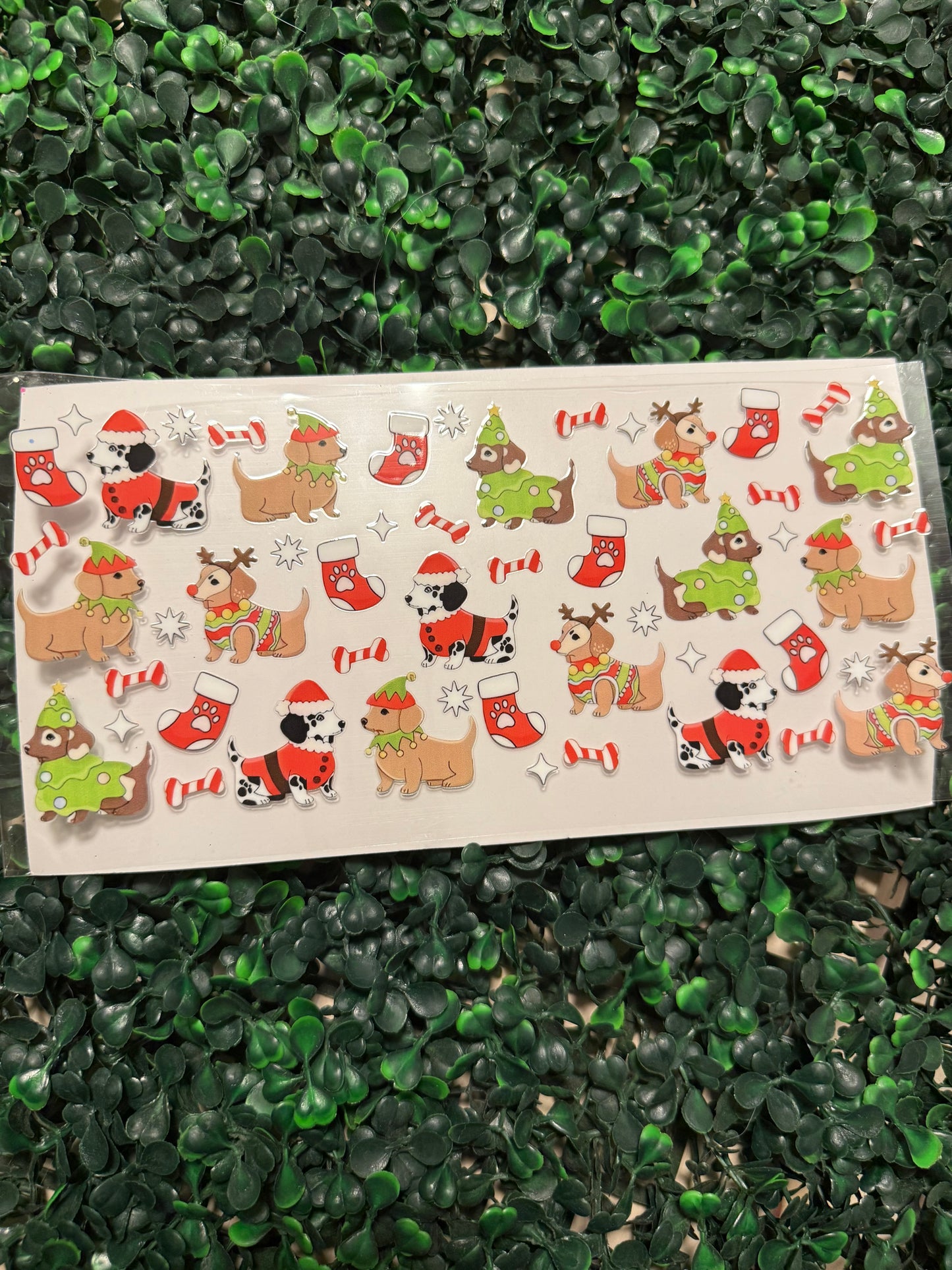 Christmas puppies dogs