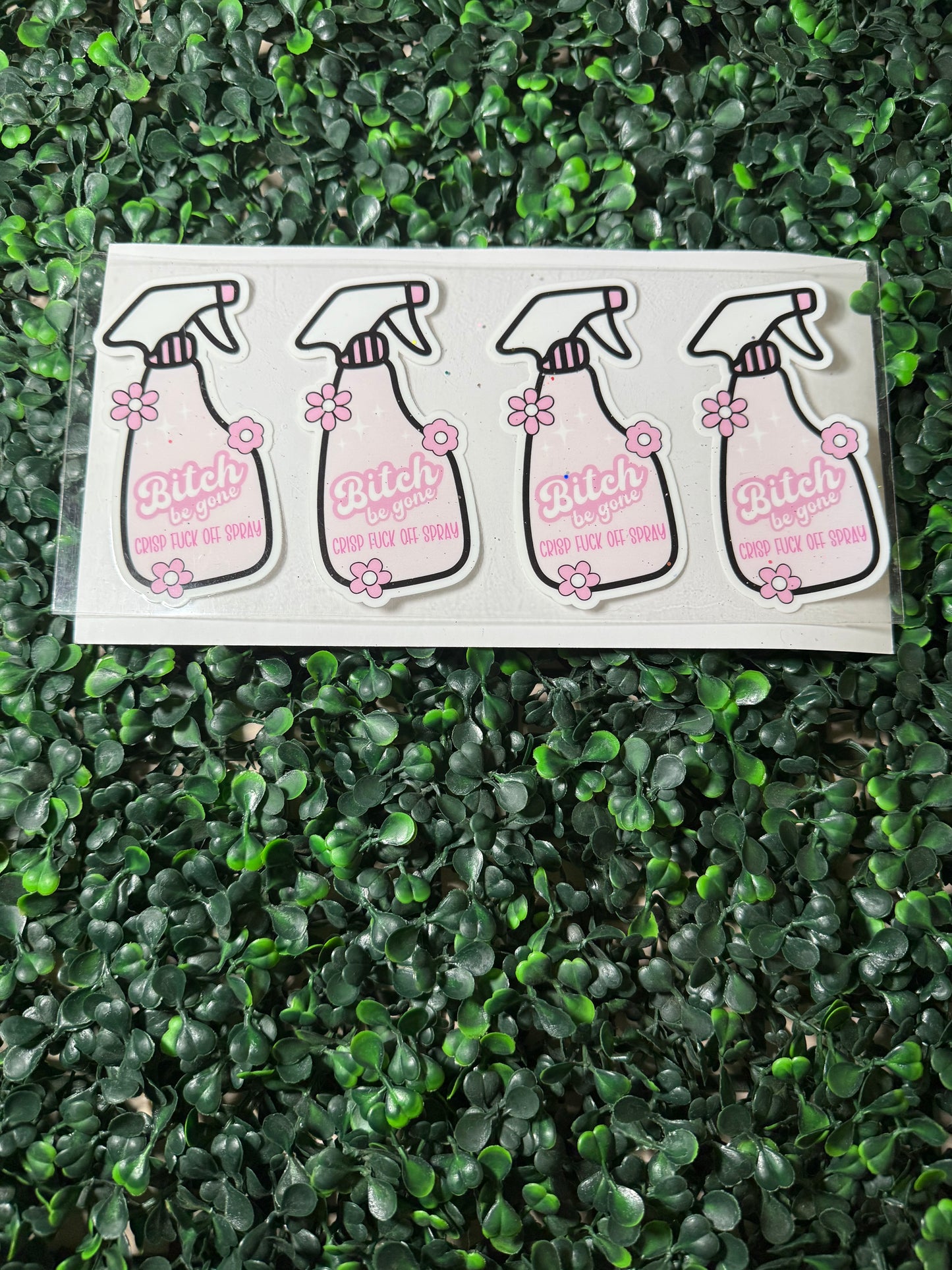 Bitch be gone crisp fuck off spray bottle