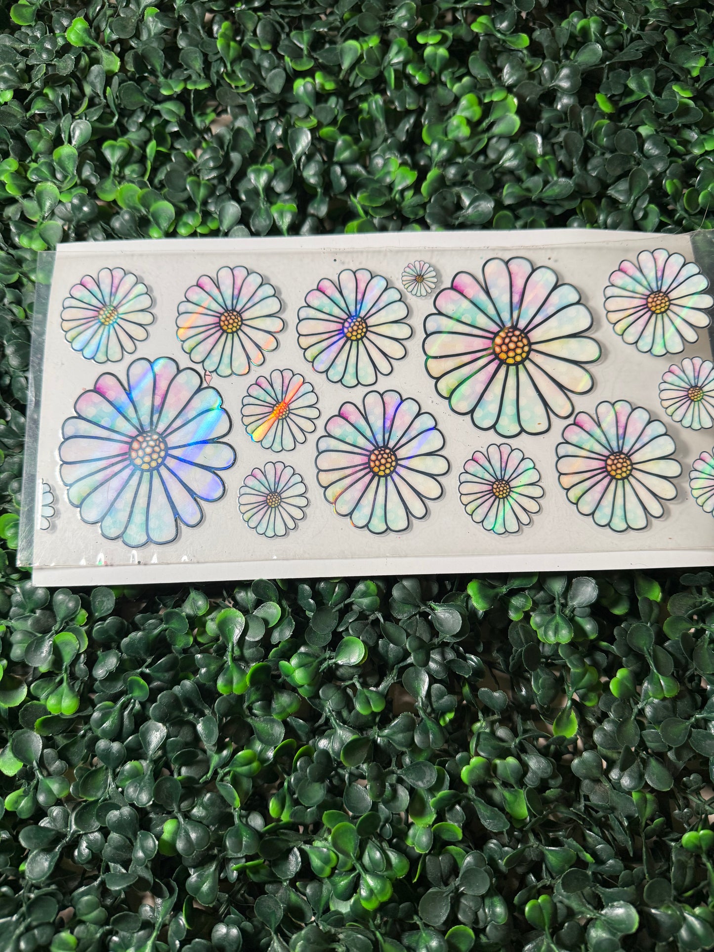 HOLOGRAPHIC white daisy’s