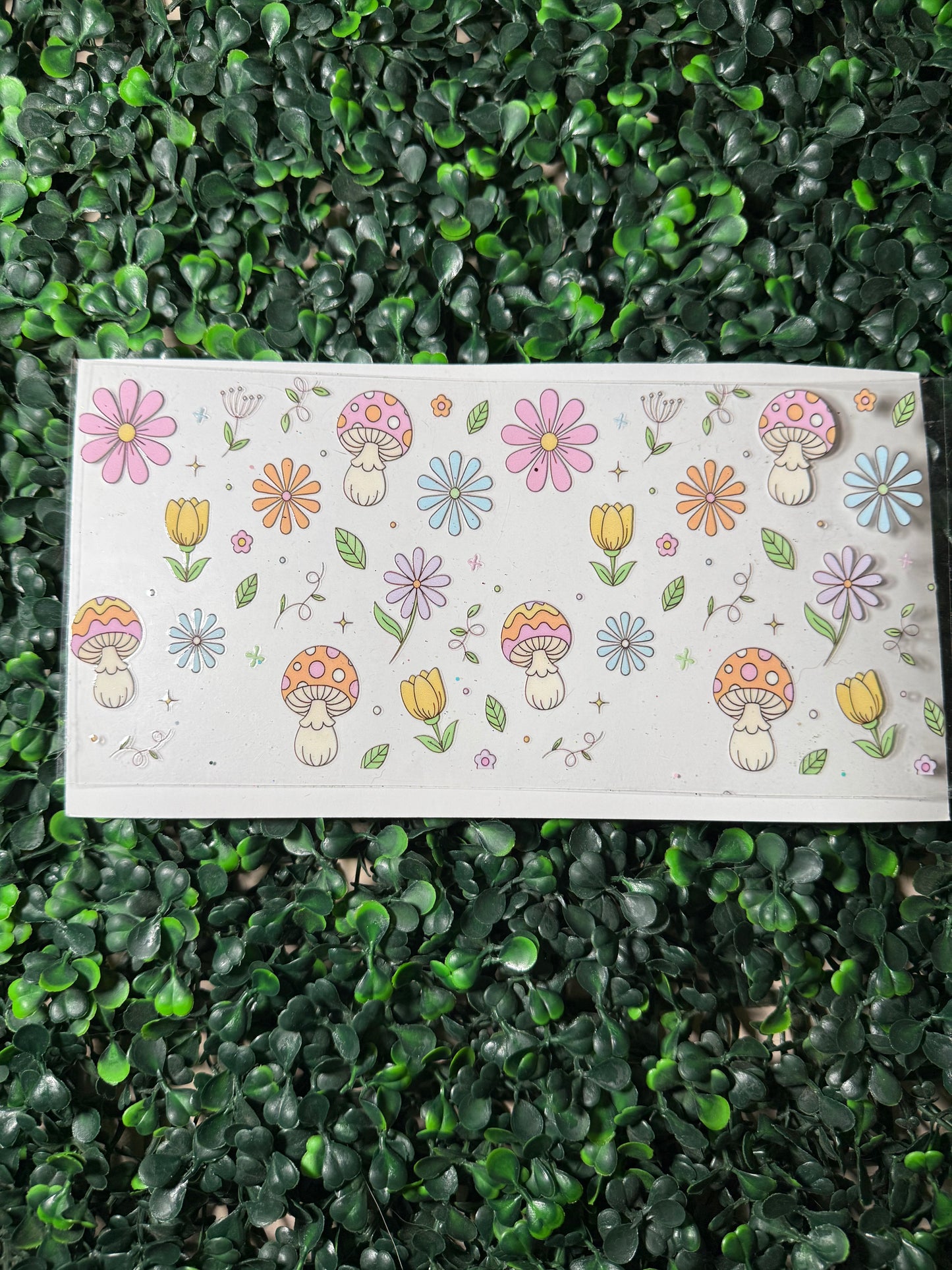 Mushrooms and flowers 3